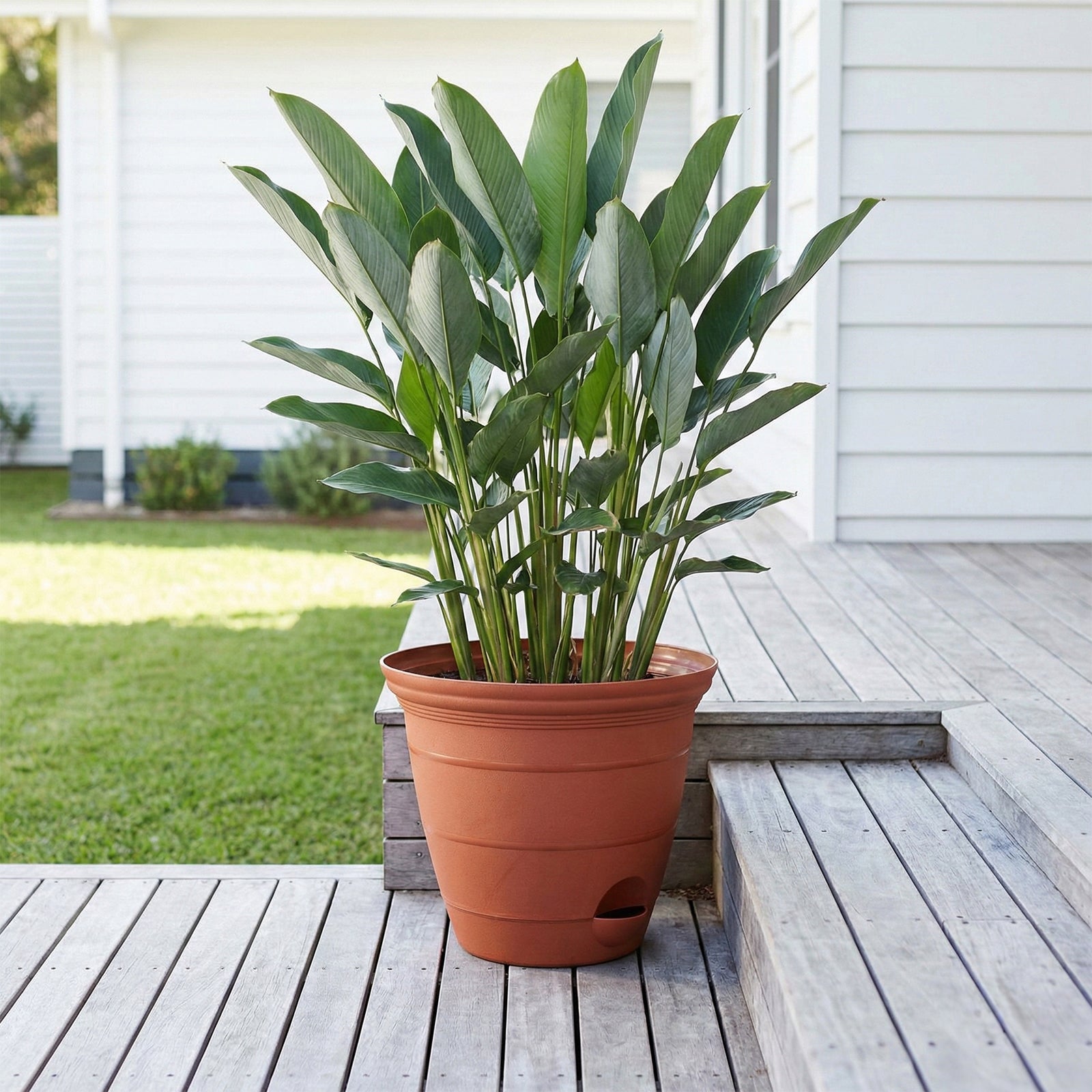 Eden large terracotta Roman self-watering planter for outdoor landscaping