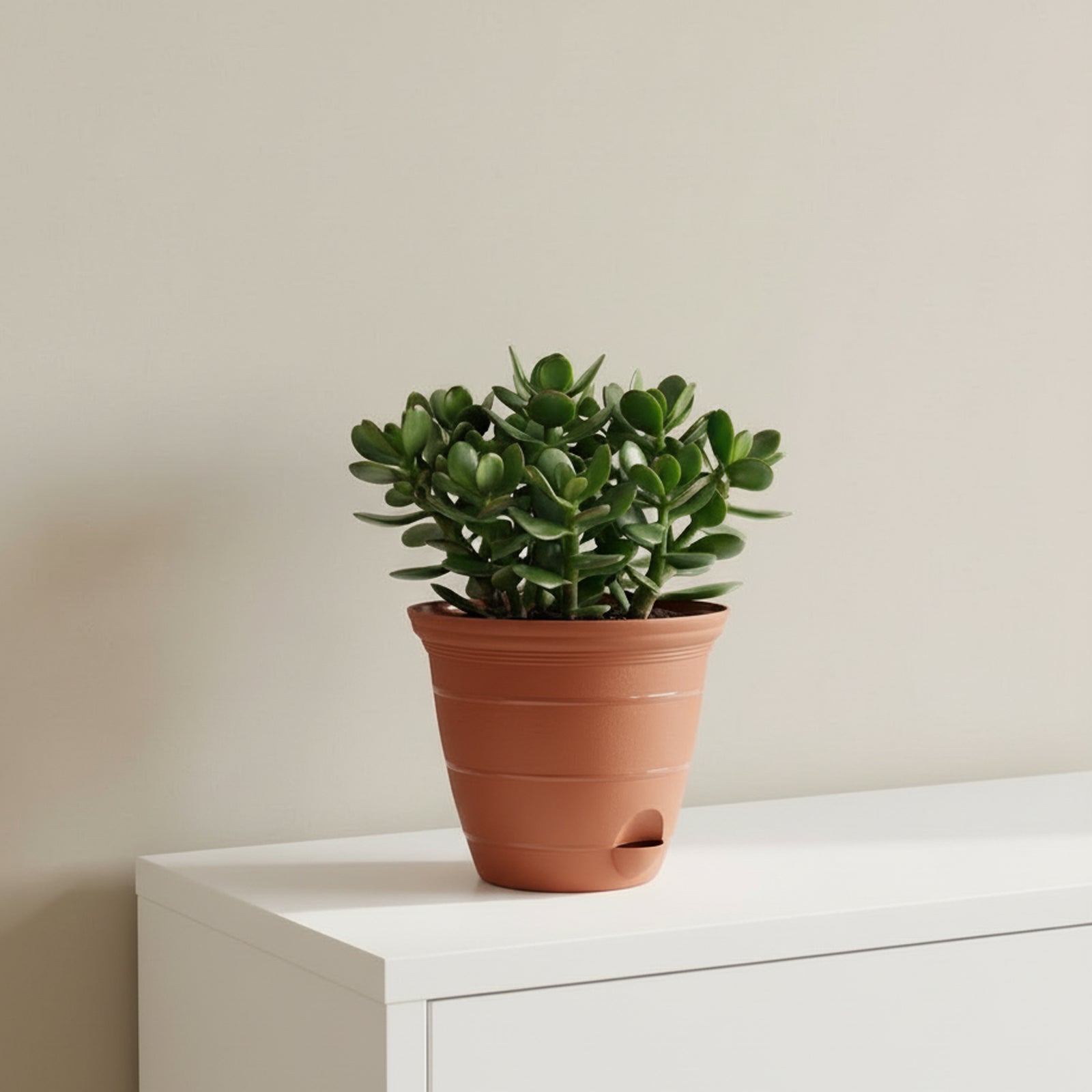 Eden terracotta Roman self-watering planter for classic indoor plant décor