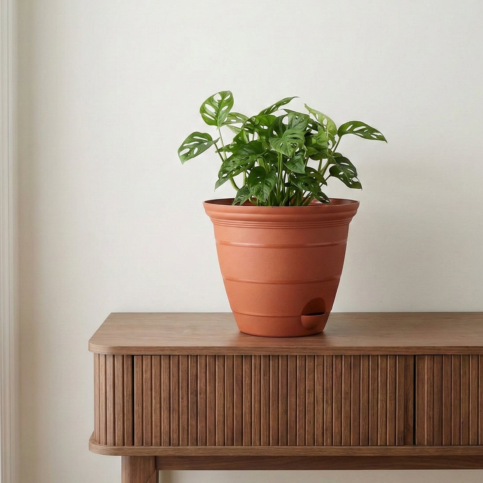 Eden terracotta Roman self-watering planter for medium garden plants