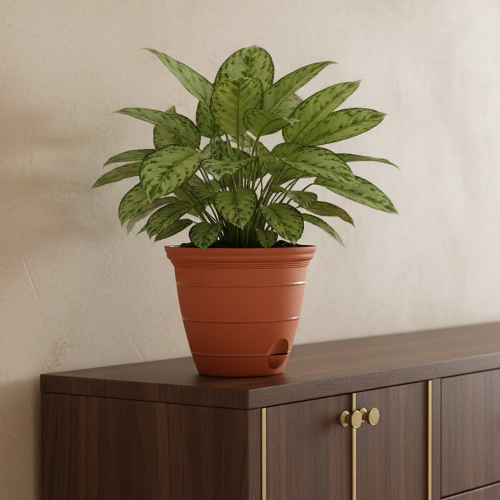 Eden terracotta Roman self-watering planter for medium garden plants