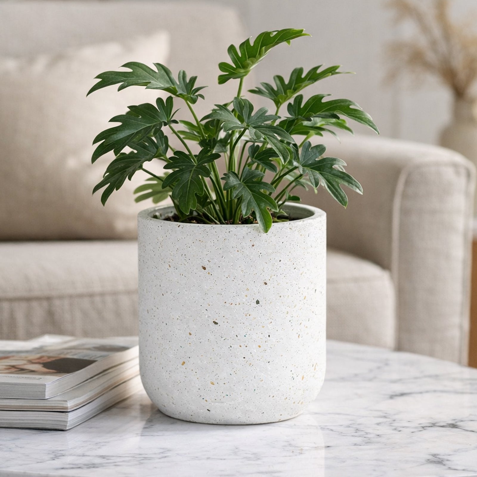 Eden 15cm white terrazzo indoor concrete planter suitable for indoor plants and décor