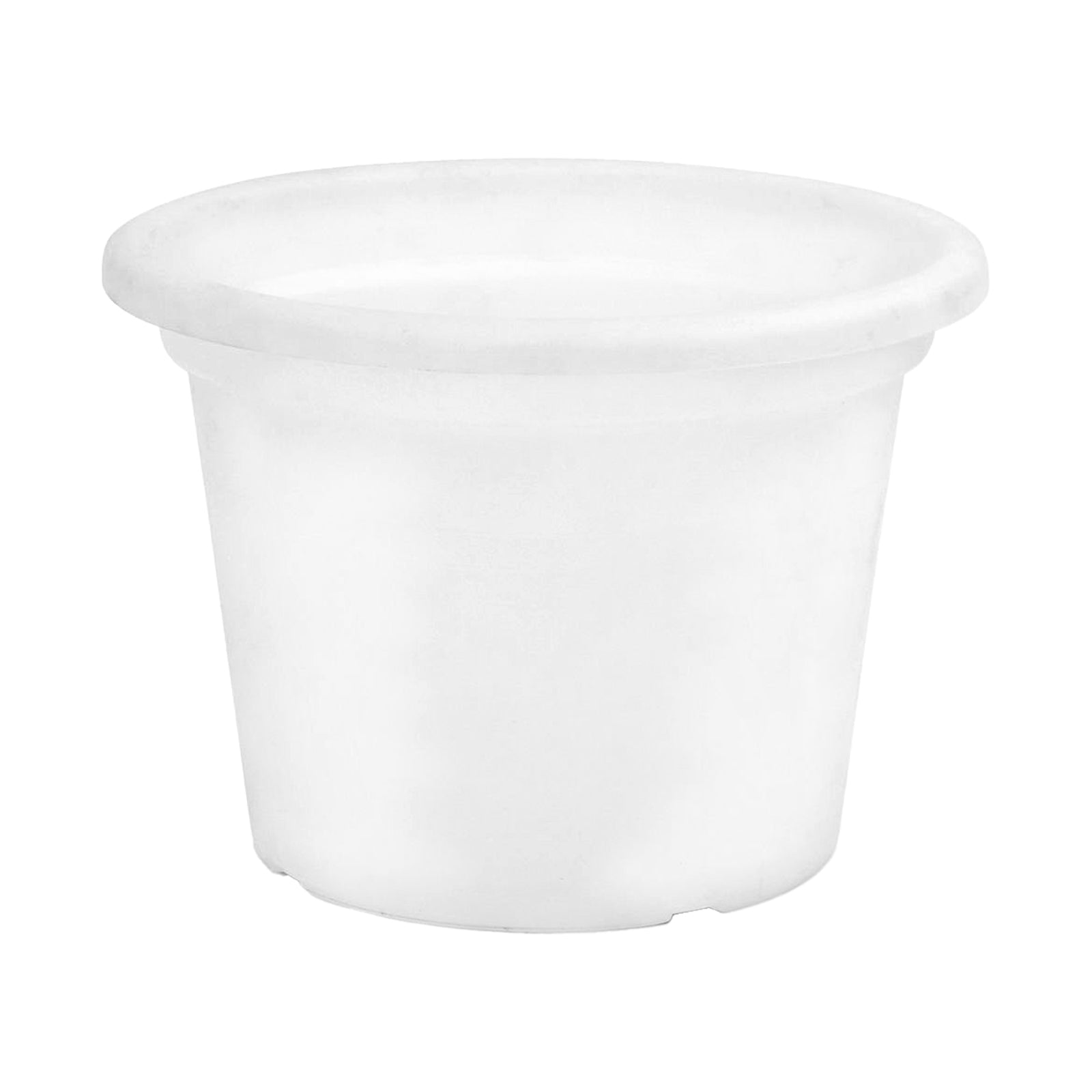 Eden white transparent round cylinder planter for clean modern interiors