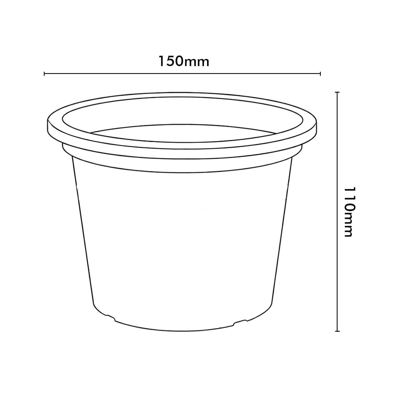Eden white transparent round cylinder planter for clean modern interiors
