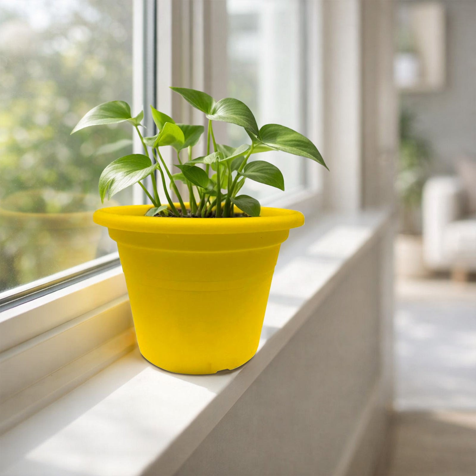 Eden yellow transparent cylinder plastic pot for bright indoor plant styling