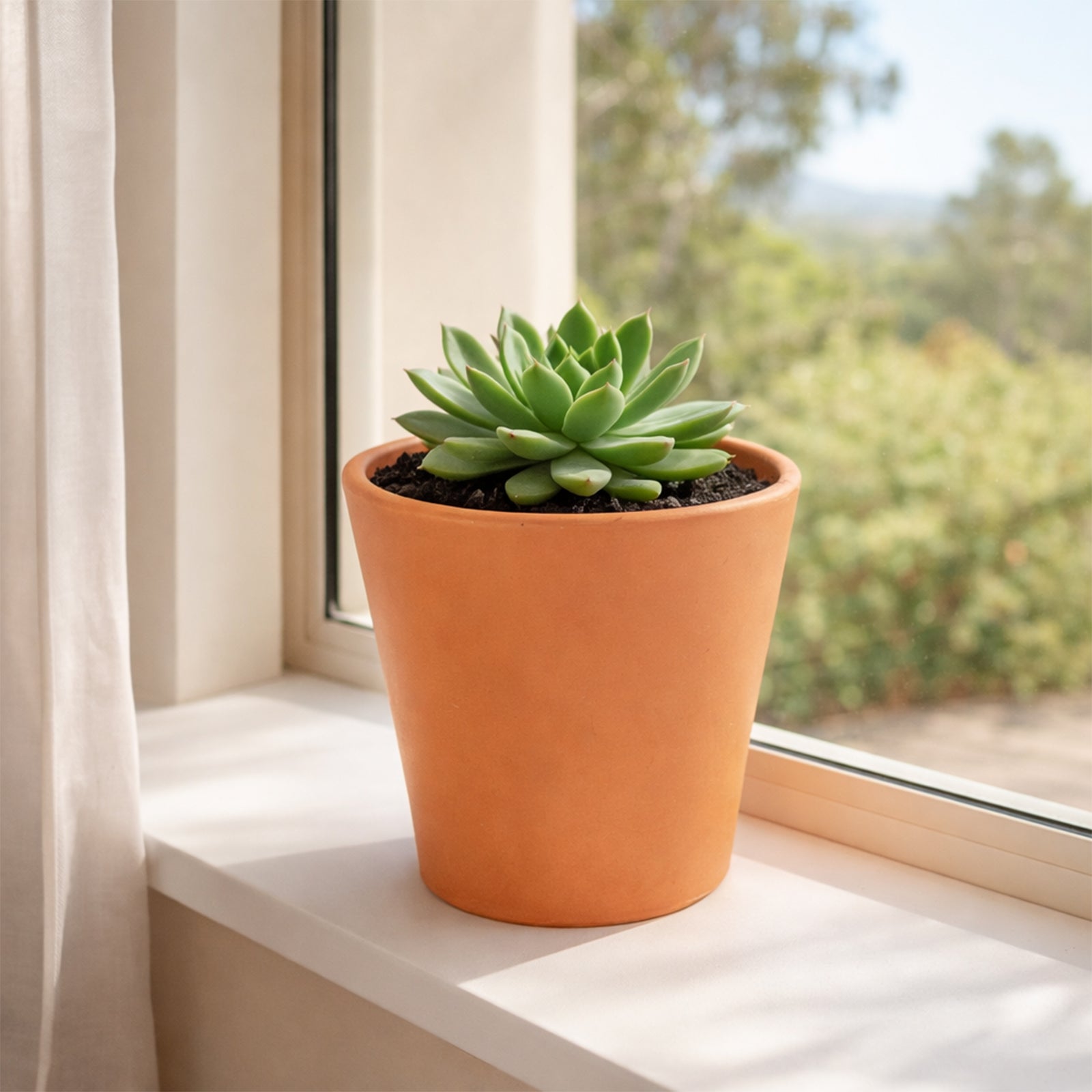 Eden 16X14.7cm Terracotta Cono Red Clay Pot