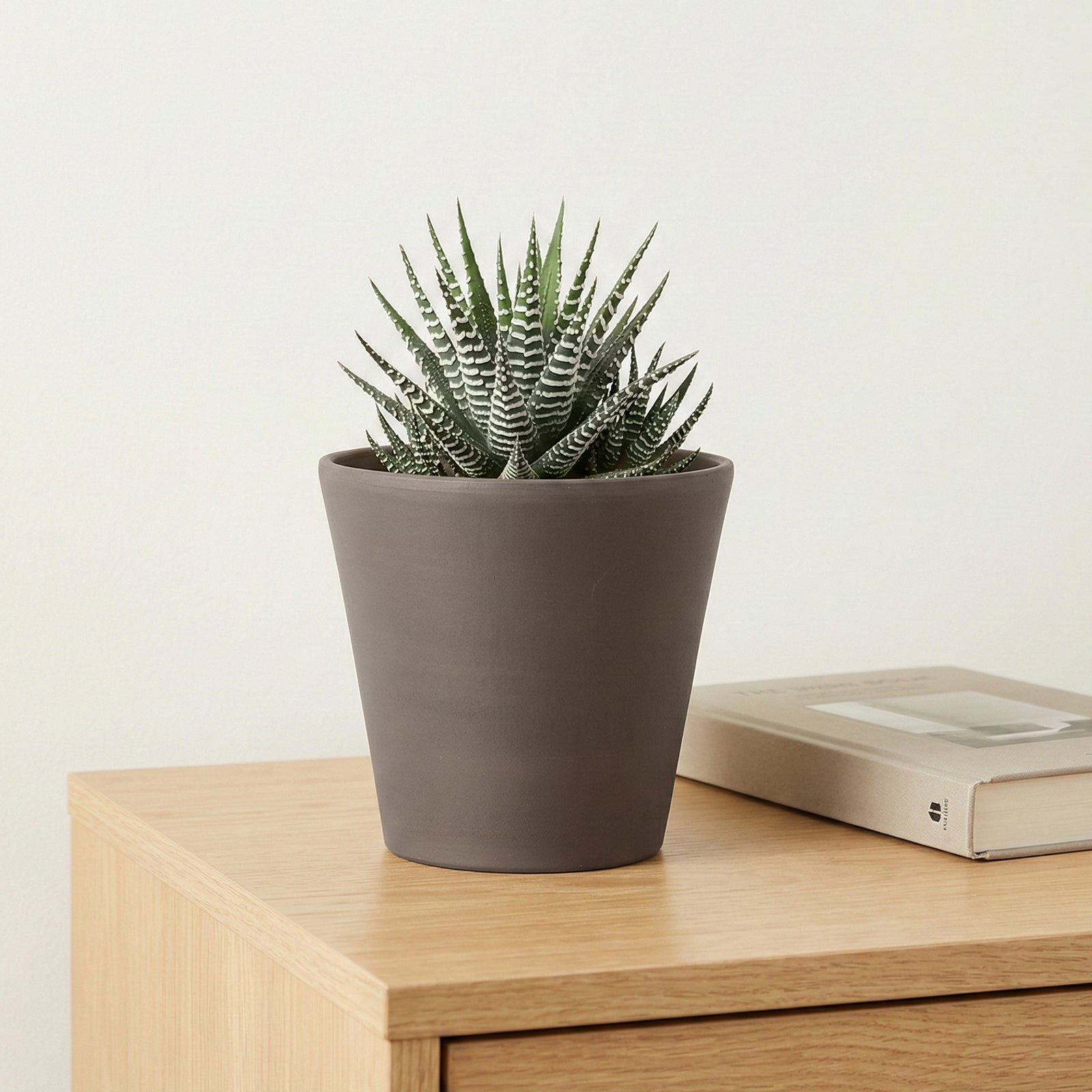 Eden 16X14.7cm Terracotta Cono Titanium Clay Pot