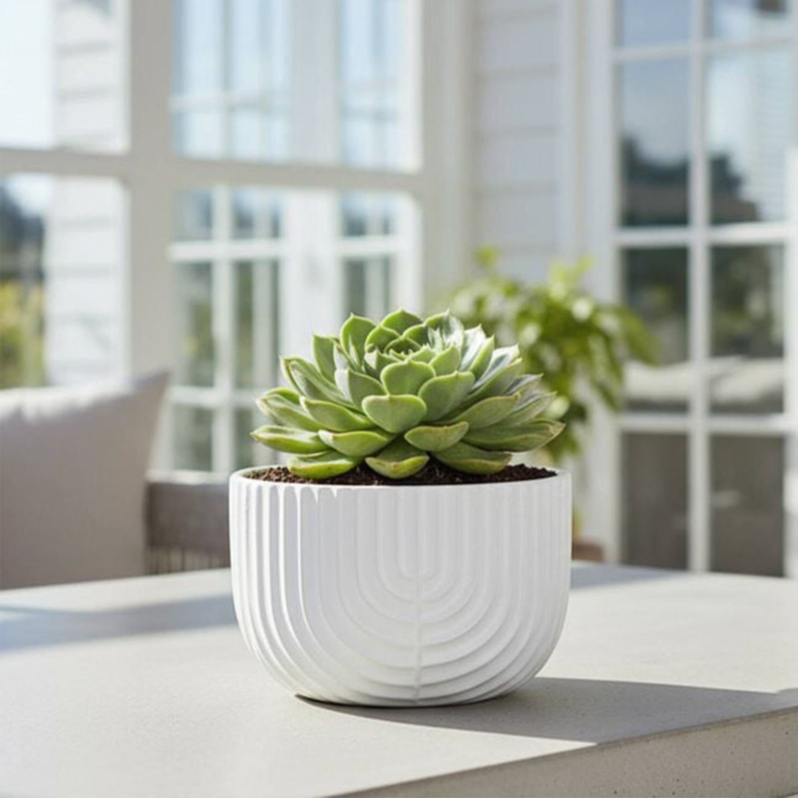 Eden 16cm off white ceramic rainbow low bowl pot for indoor plants and décor