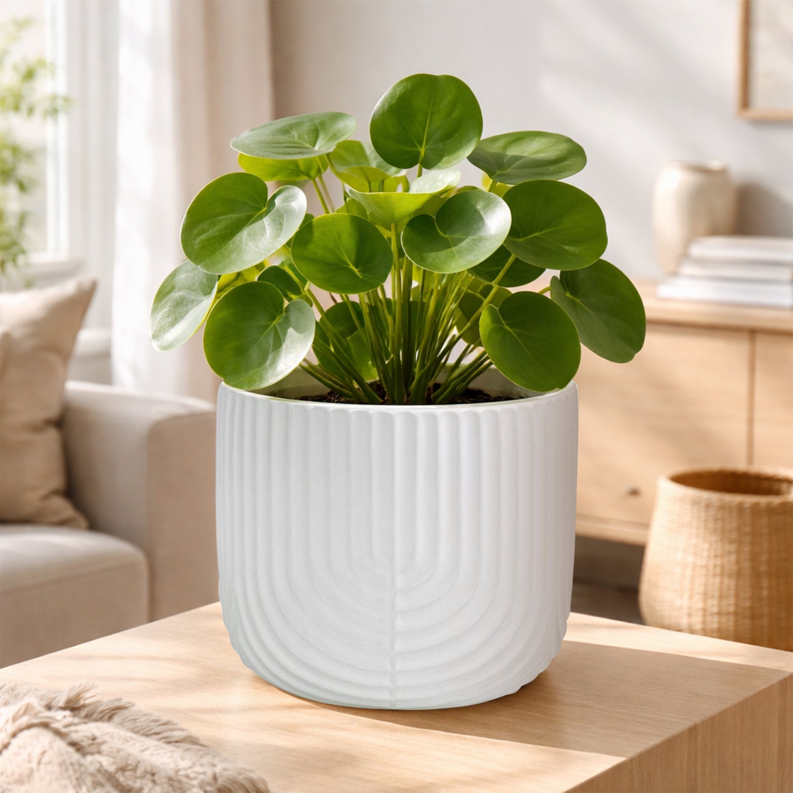 Eden 16cm off white rainbow ceramic planter ideal for indoor plants and styling