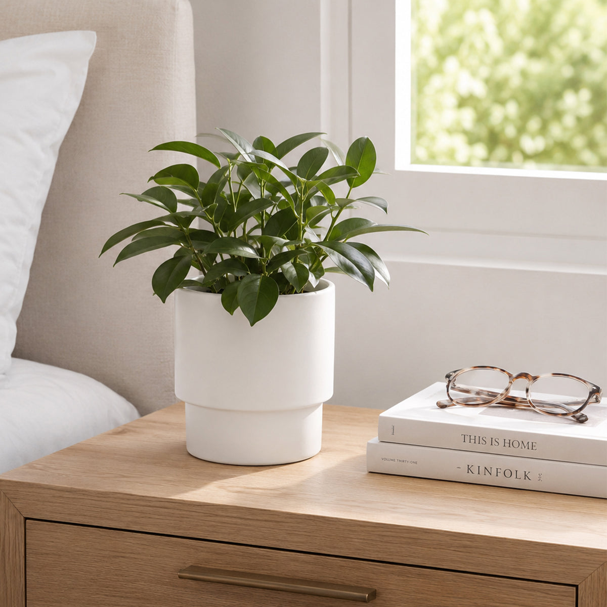 Eden 16cm White Eclipse Indoor Ceramic Pot