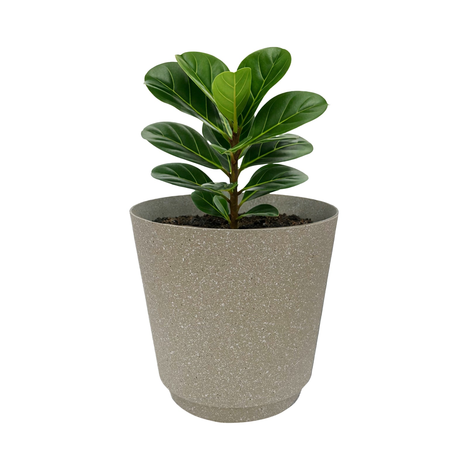 Eden beige round Stonelite self-watering pot for indoor and outdoor plants
