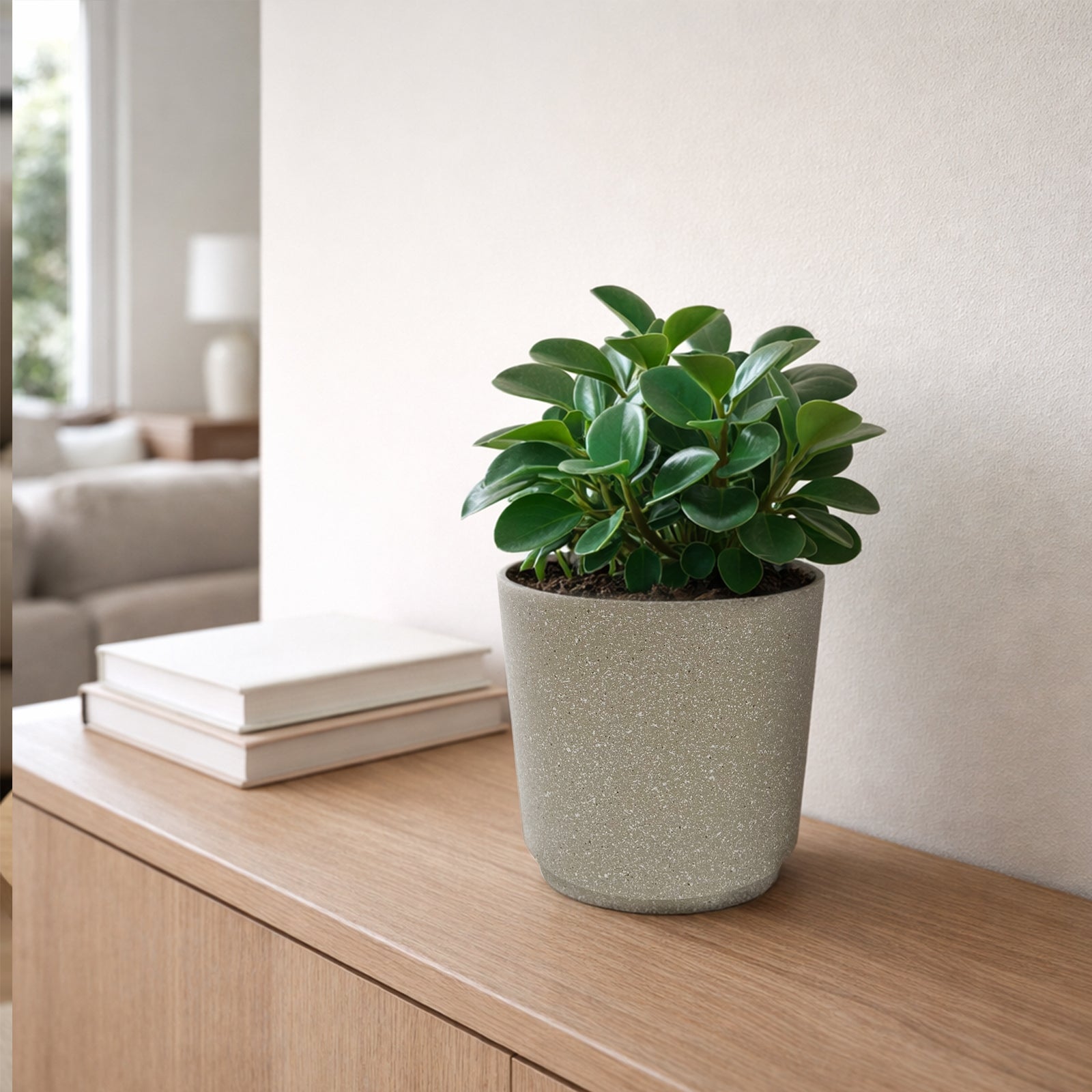 Eden beige round Stonelite self-watering pot for indoor and outdoor plants

