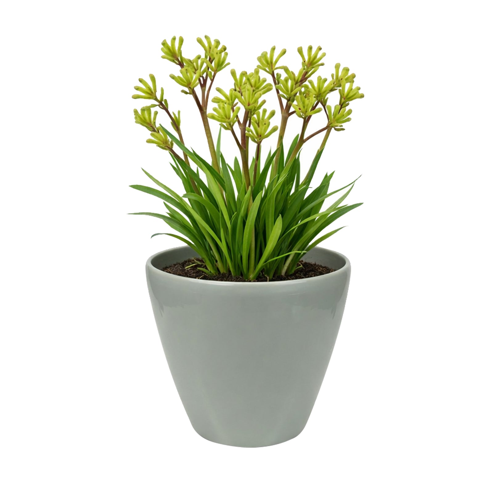Eden 18cm sage round premium self-watering plastic pot for indoor plant care