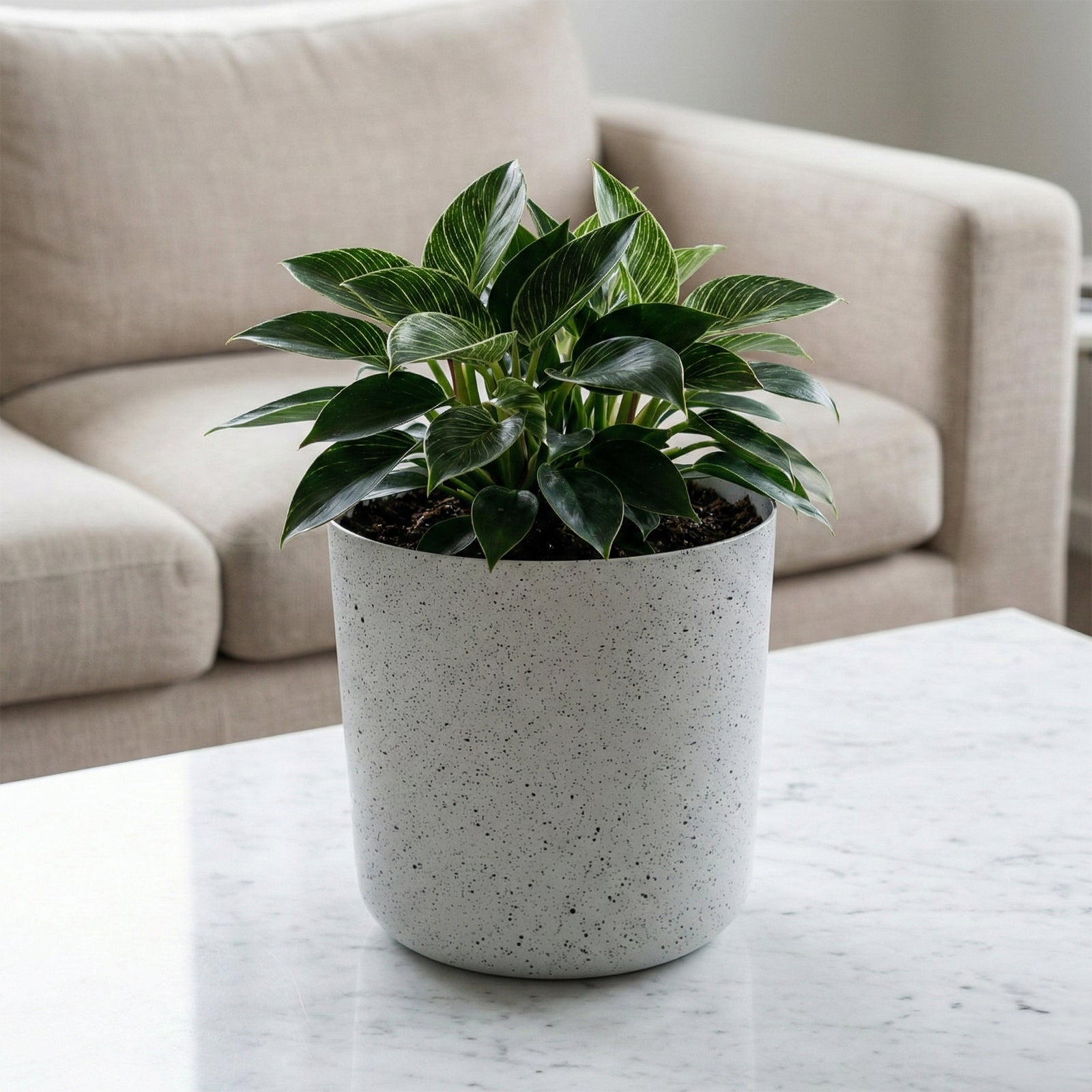 Eden 18cm white stonelite sphere planter for modern indoor and outdoor plant styling