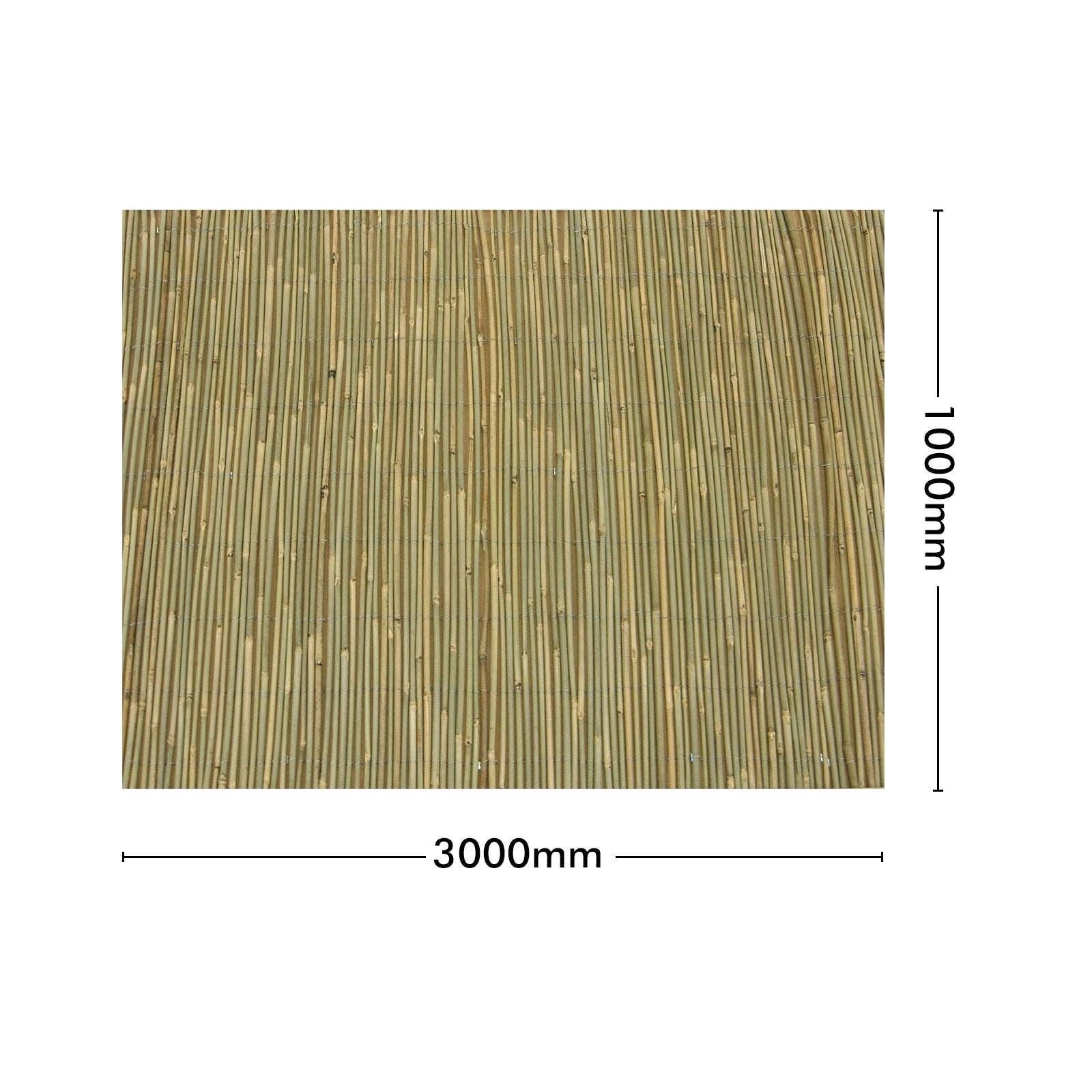Eden natural bamboo garden screening panel for outdoor privacy fencing and boundary screening