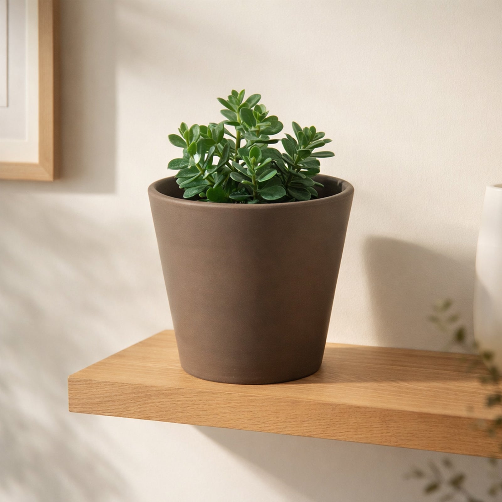 Eden 20X18.5cm Terracotta Cono Light Clay Pot