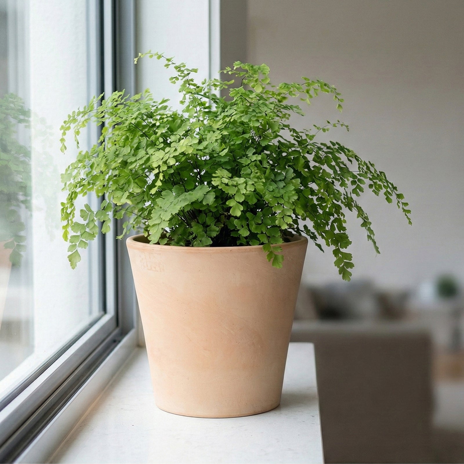 Eden 20X18.5cm Terracotta Cono Light Clay Pot