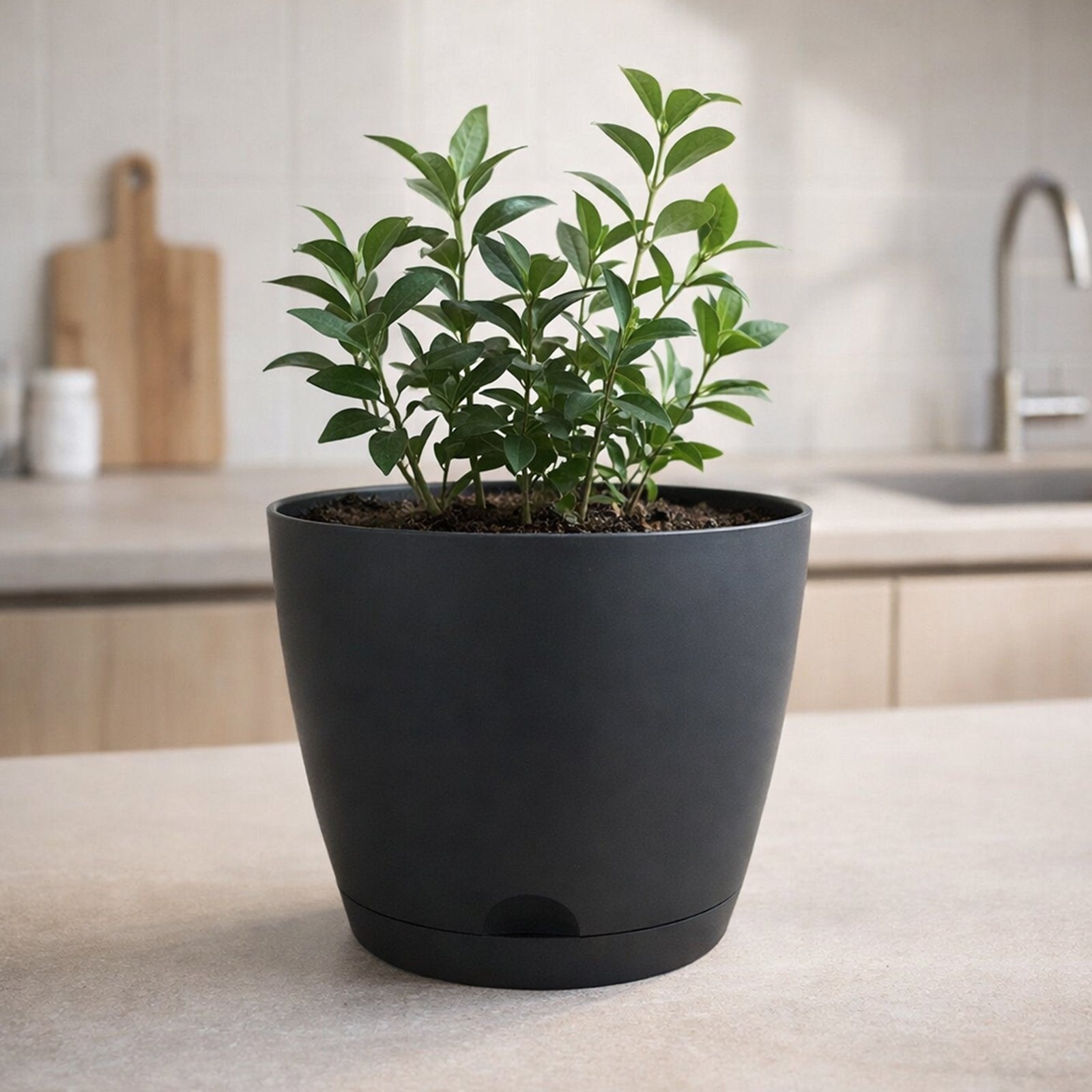 Eden 20cm charcoal Oslo self-watering pot for indoor and outdoor plants