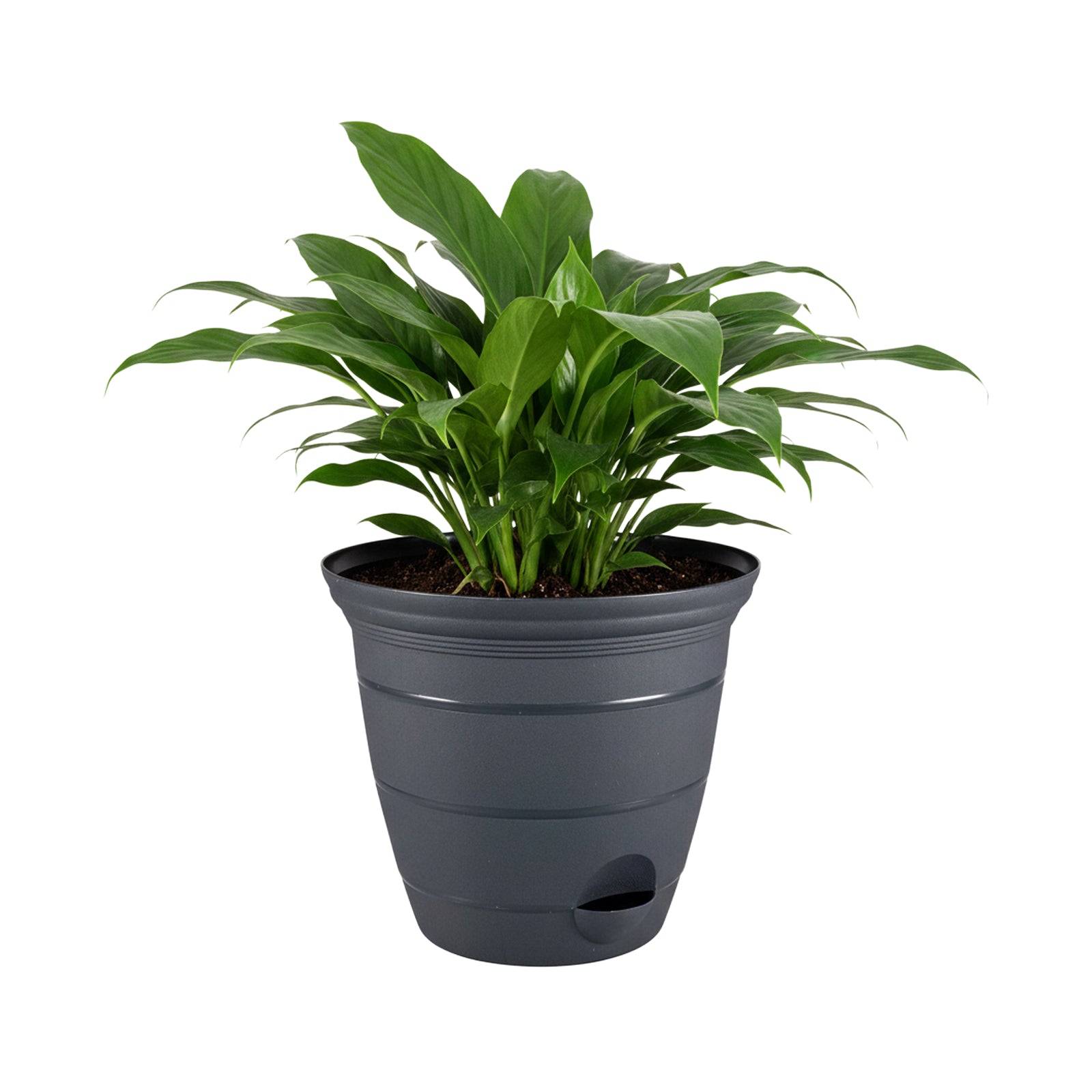 Eden 20cm charcoal Roman self-watering pot for indoor and outdoor plants