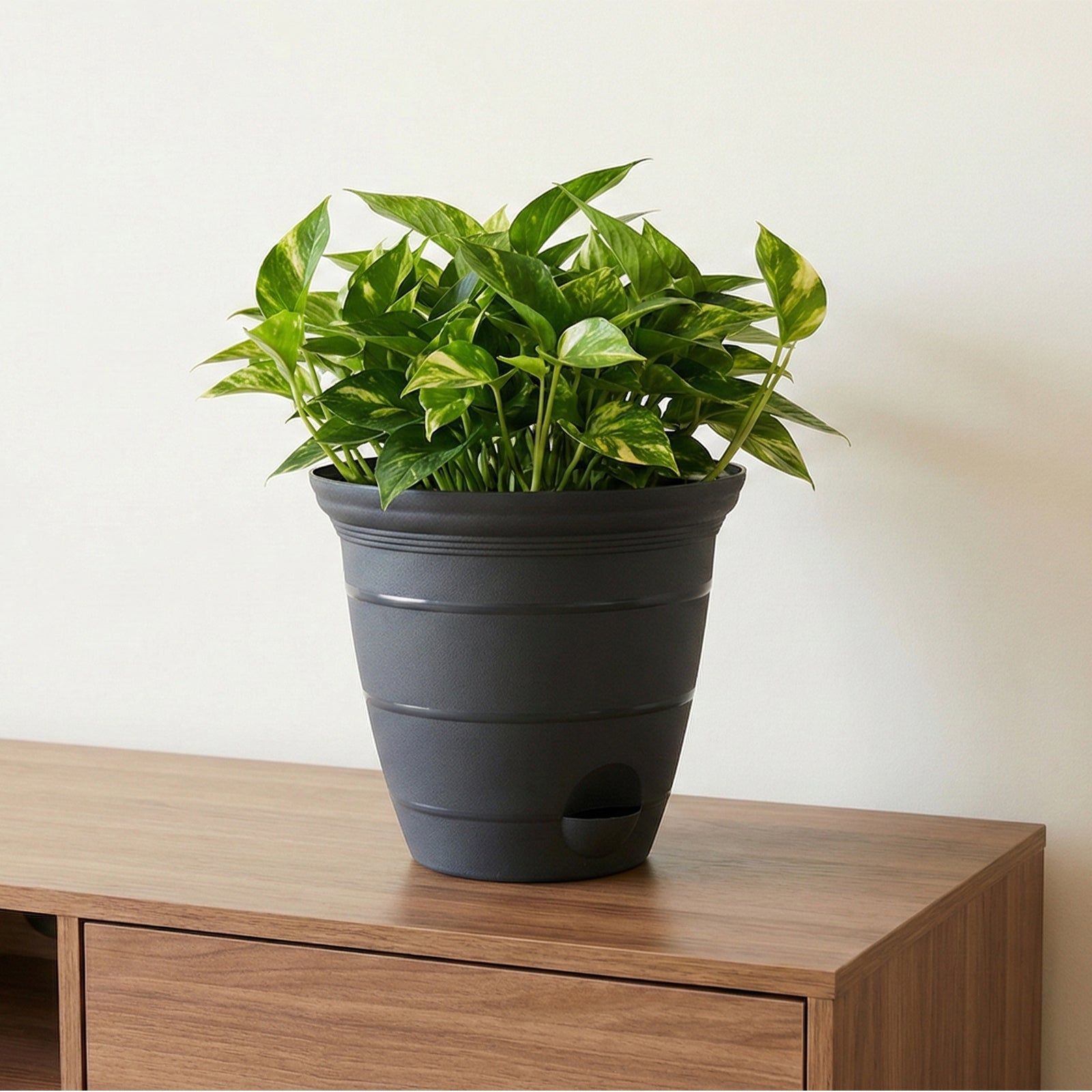 Eden 20cm charcoal Roman self-watering pot for indoor and outdoor plants