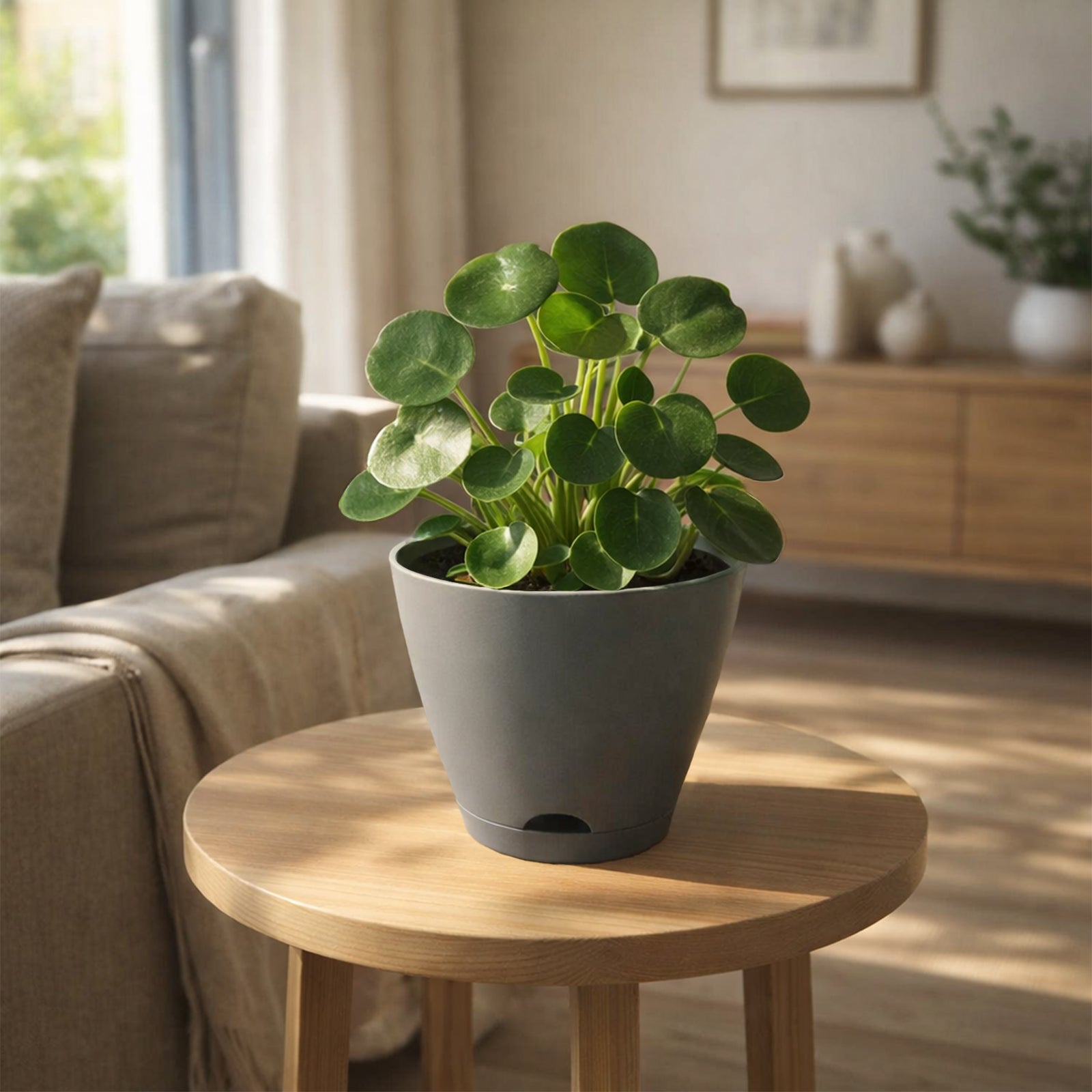 Eden 20cm grey Oslo self-watering pot for modern indoor plant styling