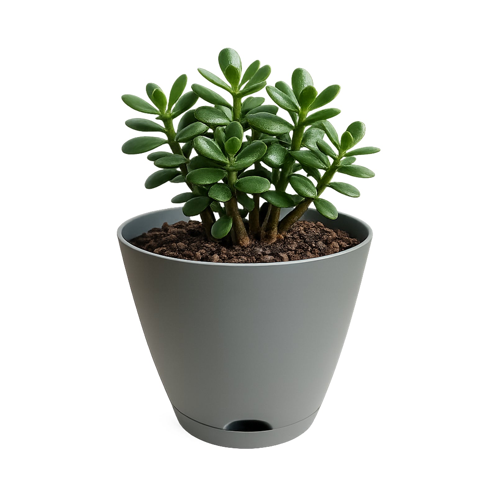 Eden 20cm grey Oslo self-watering pot for modern indoor plant styling