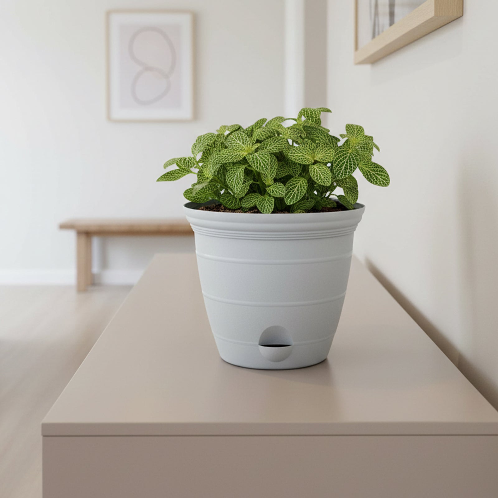 Eden 20cm grey Roman self-watering pot for indoor and outdoor use