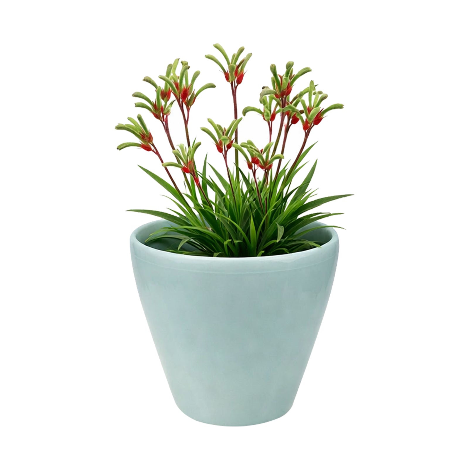 Eden blue round premium self-watering planter for indoor and balcony plants