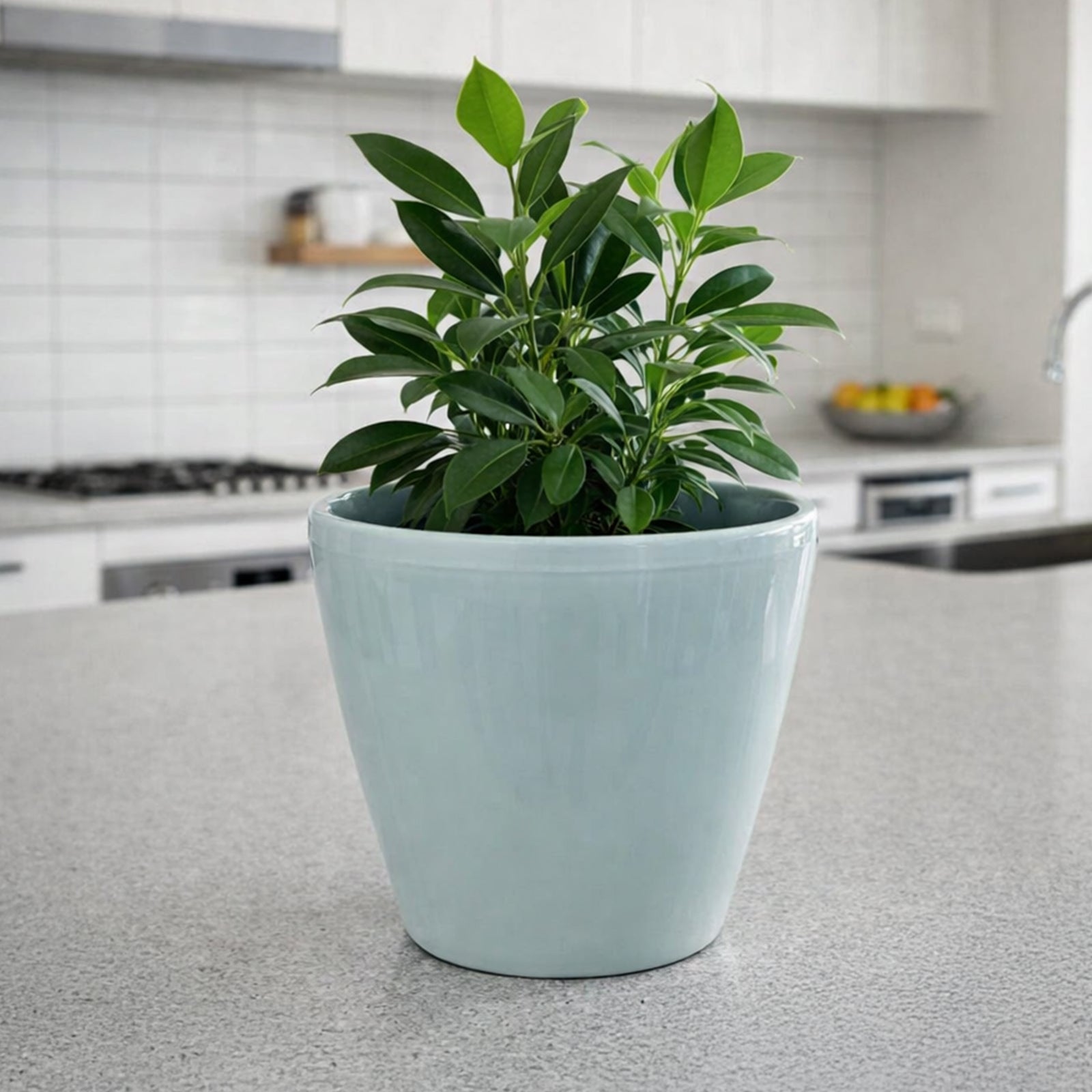 Eden blue round premium self-watering planter for indoor and balcony plants
