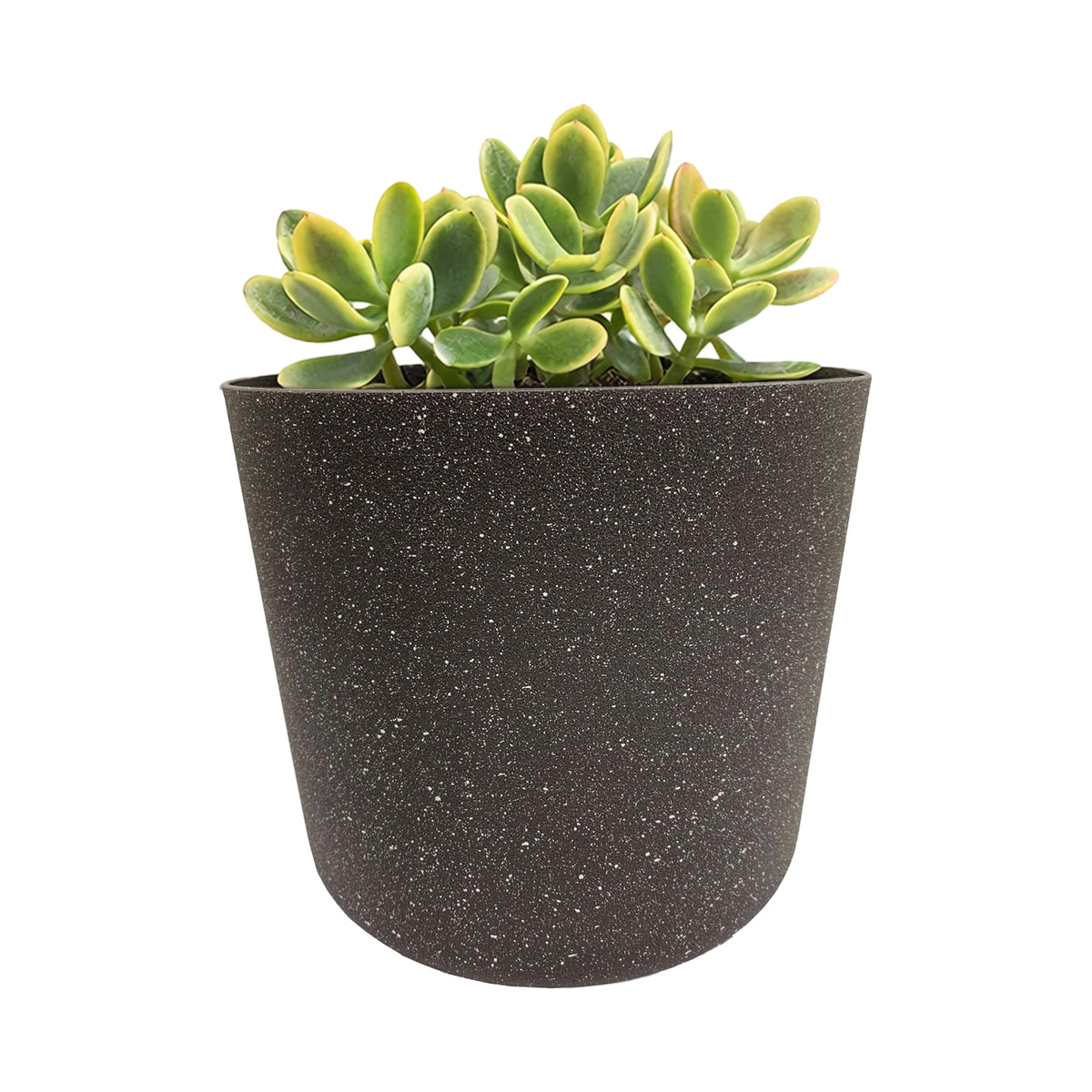 Eden 22cm charcoal stonelite sphere planter suitable for medium plants indoors or outdoors