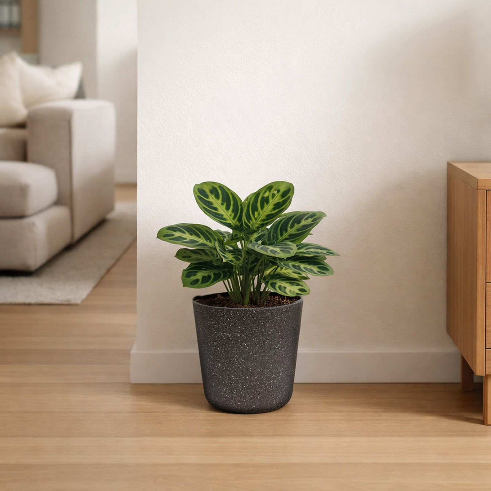 Eden 22cm charcoal stonelite sphere planter suitable for medium plants indoors or outdoors