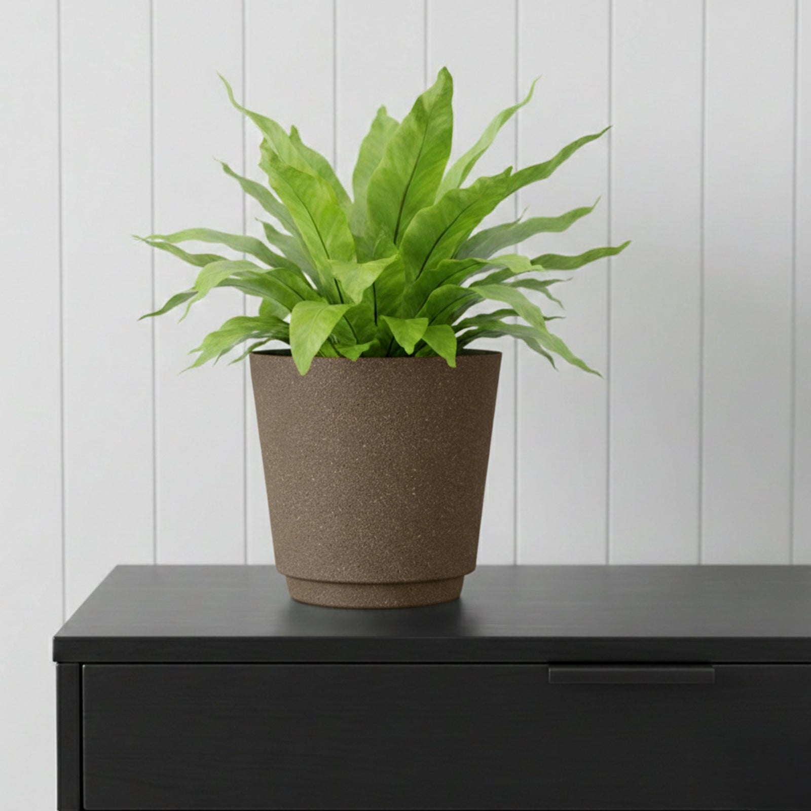 Eden 22cm brown stonelite self-watering planter for low-maintenance gardening
