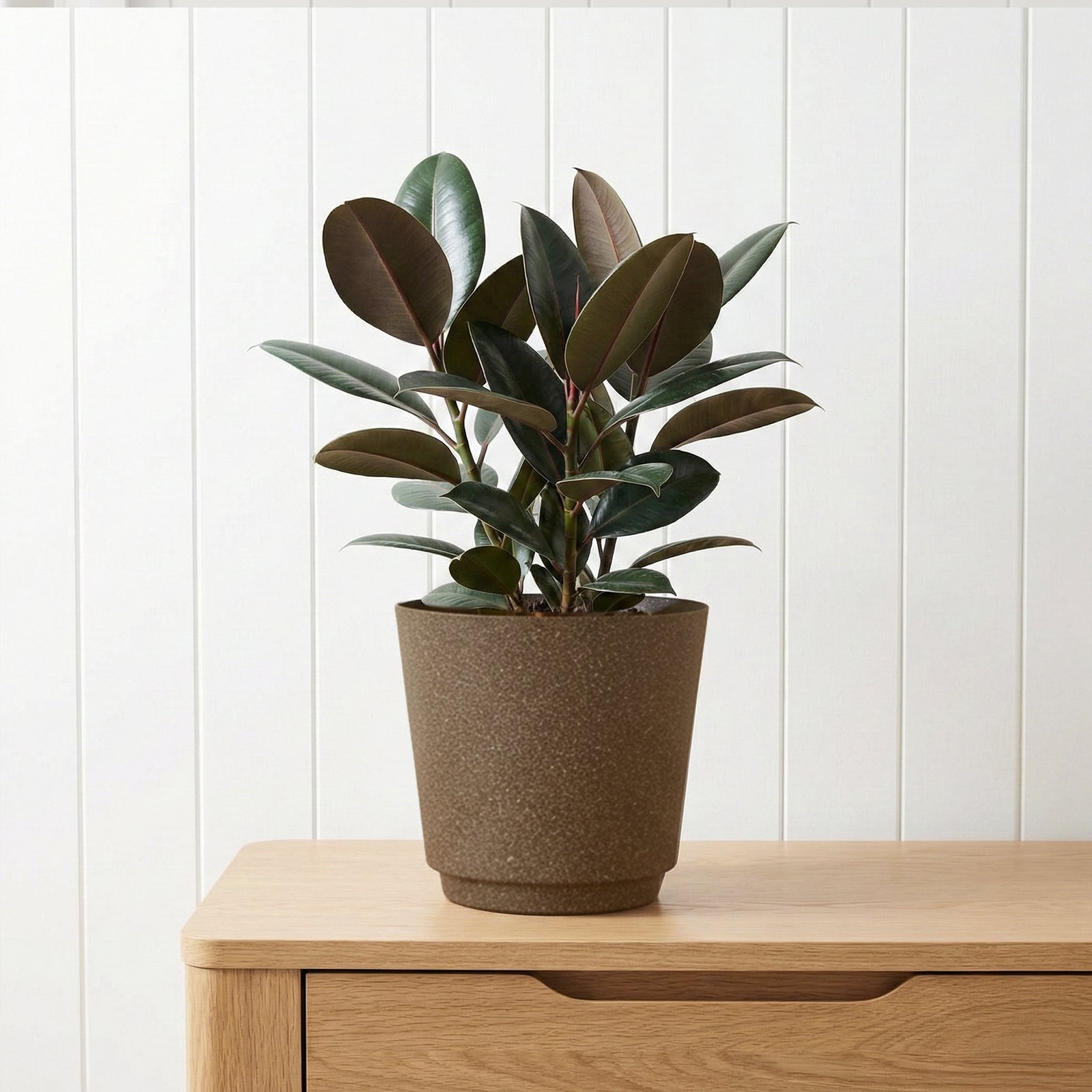 Eden 22cm brown stonelite self-watering planter for low-maintenance gardening
