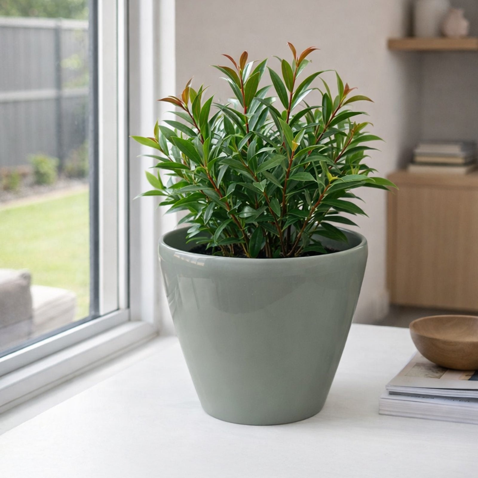 Eden sage green round self-watering plastic pot for modern indoor plant styling