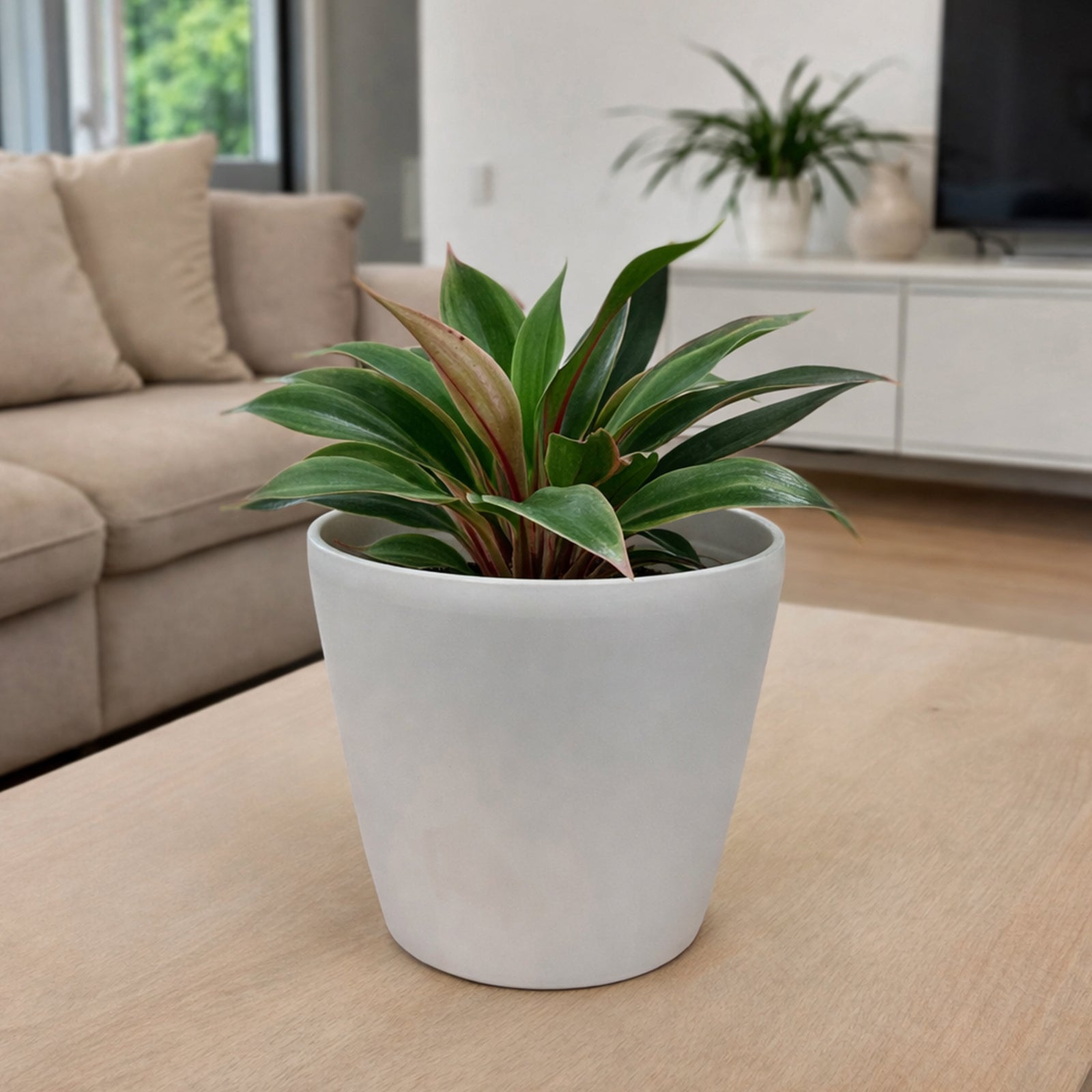 Eden warm white premium self-watering plastic pot for easy-care indoor plants