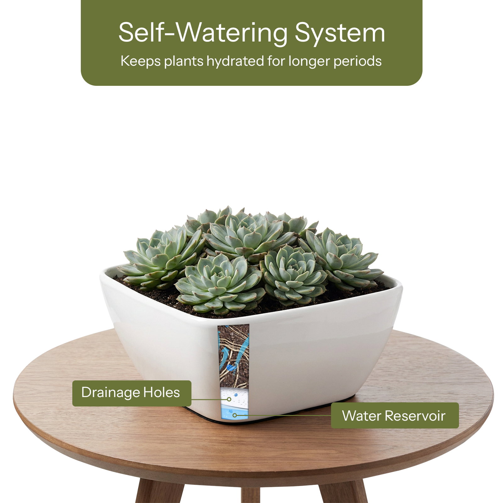 Eden 22cm white self-watering low bowl planter for indoor plants and easy care watering