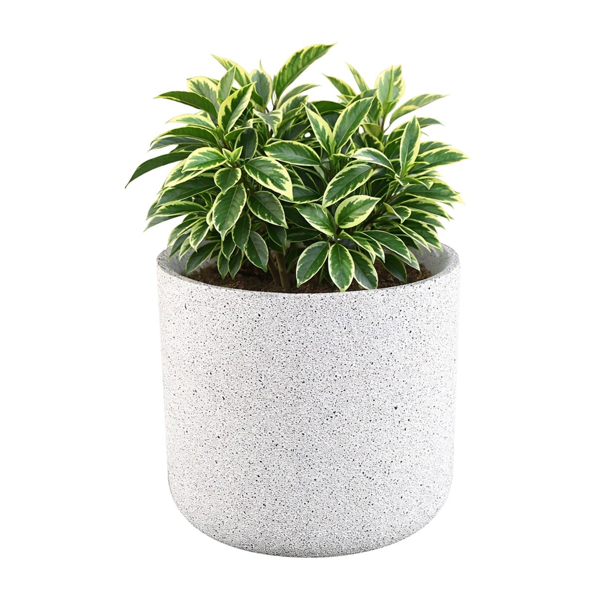 Eden 22cm white stonelite sphere planter ideal for medium plants indoors or outdoors