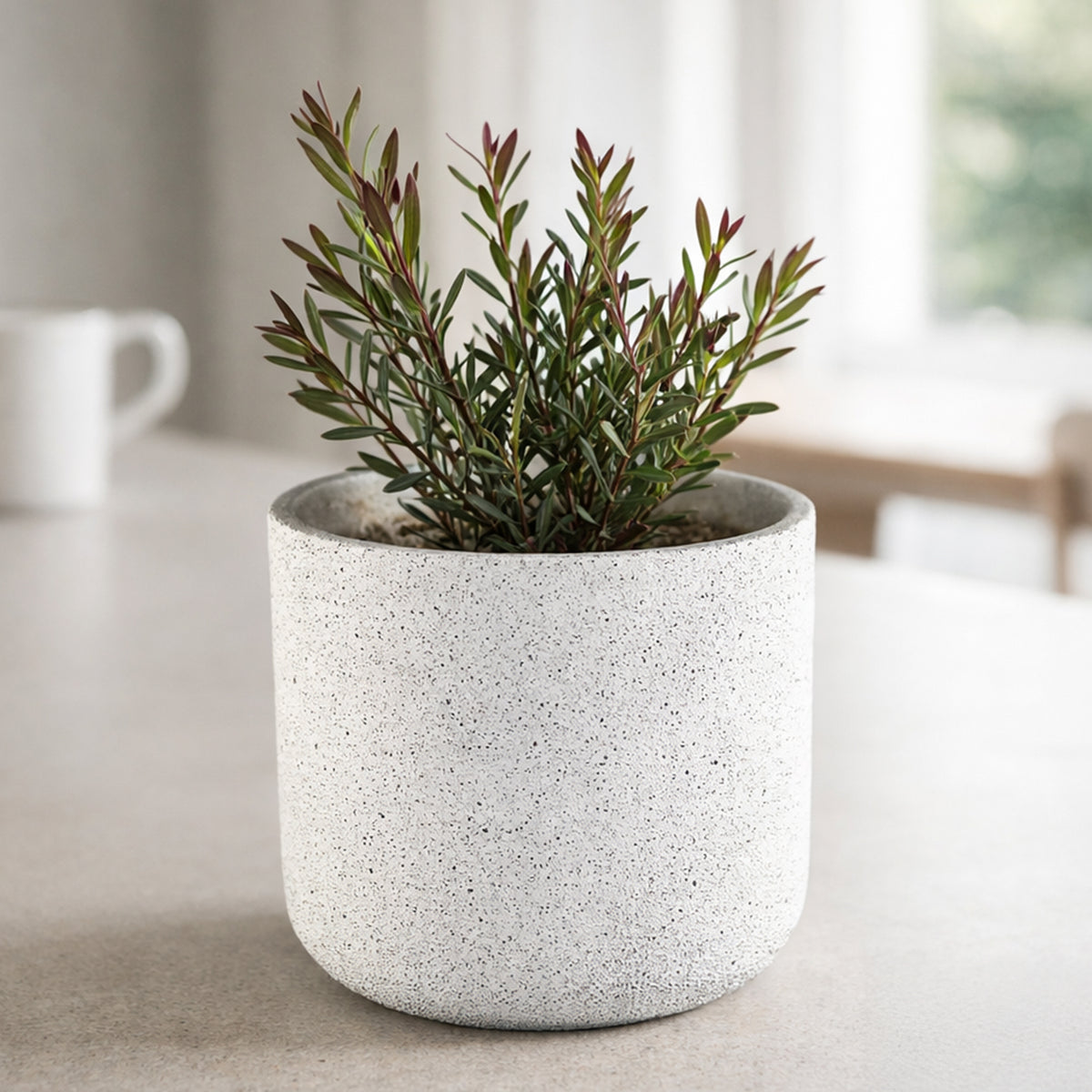 Eden 22cm white stonelite sphere planter ideal for medium plants indoors or outdoors