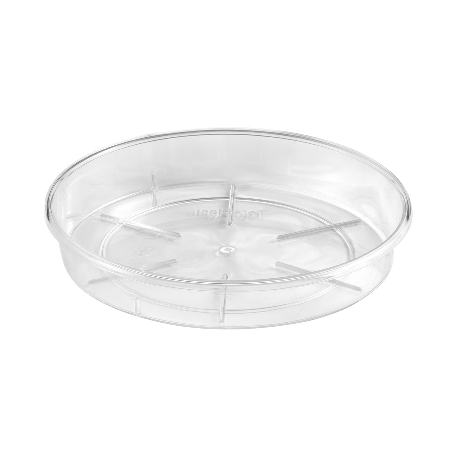 Eden 24cm clear round Porto plant saucer for larger indoor pots