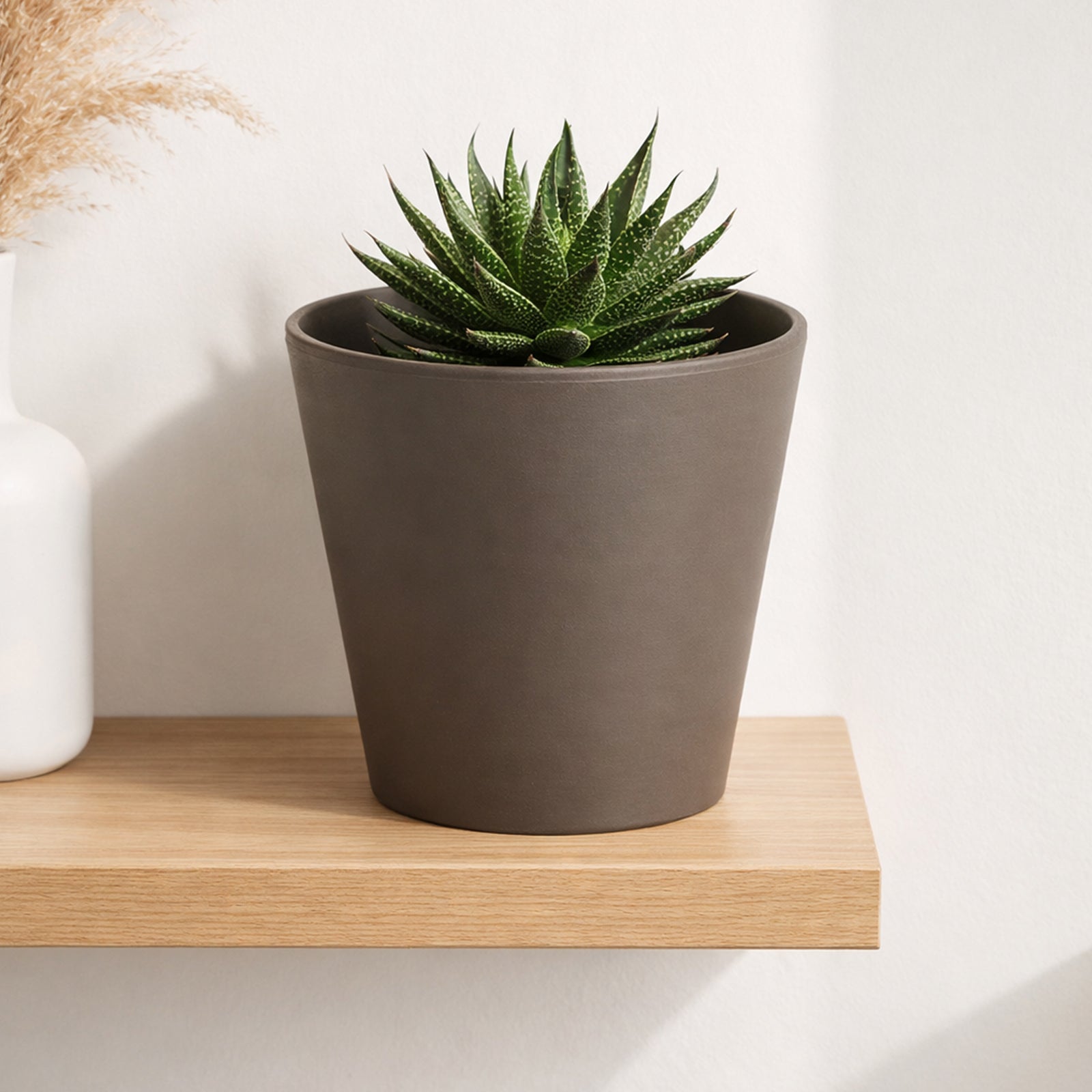 Eden 25X23cm Terracotta Cono Titanium Clay Pot
