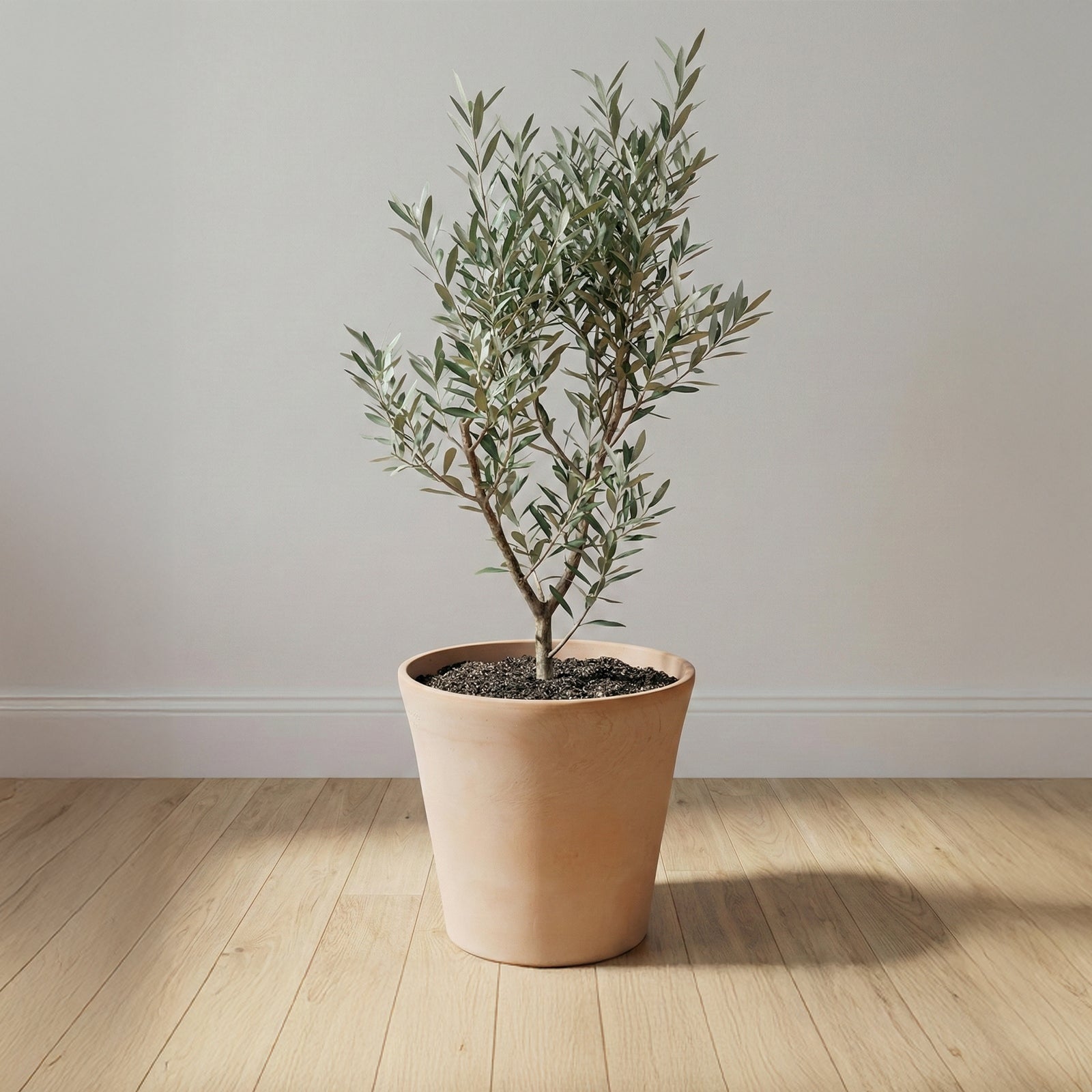 Eden 25X23cm  Terracotta Cono Light Clay Pot