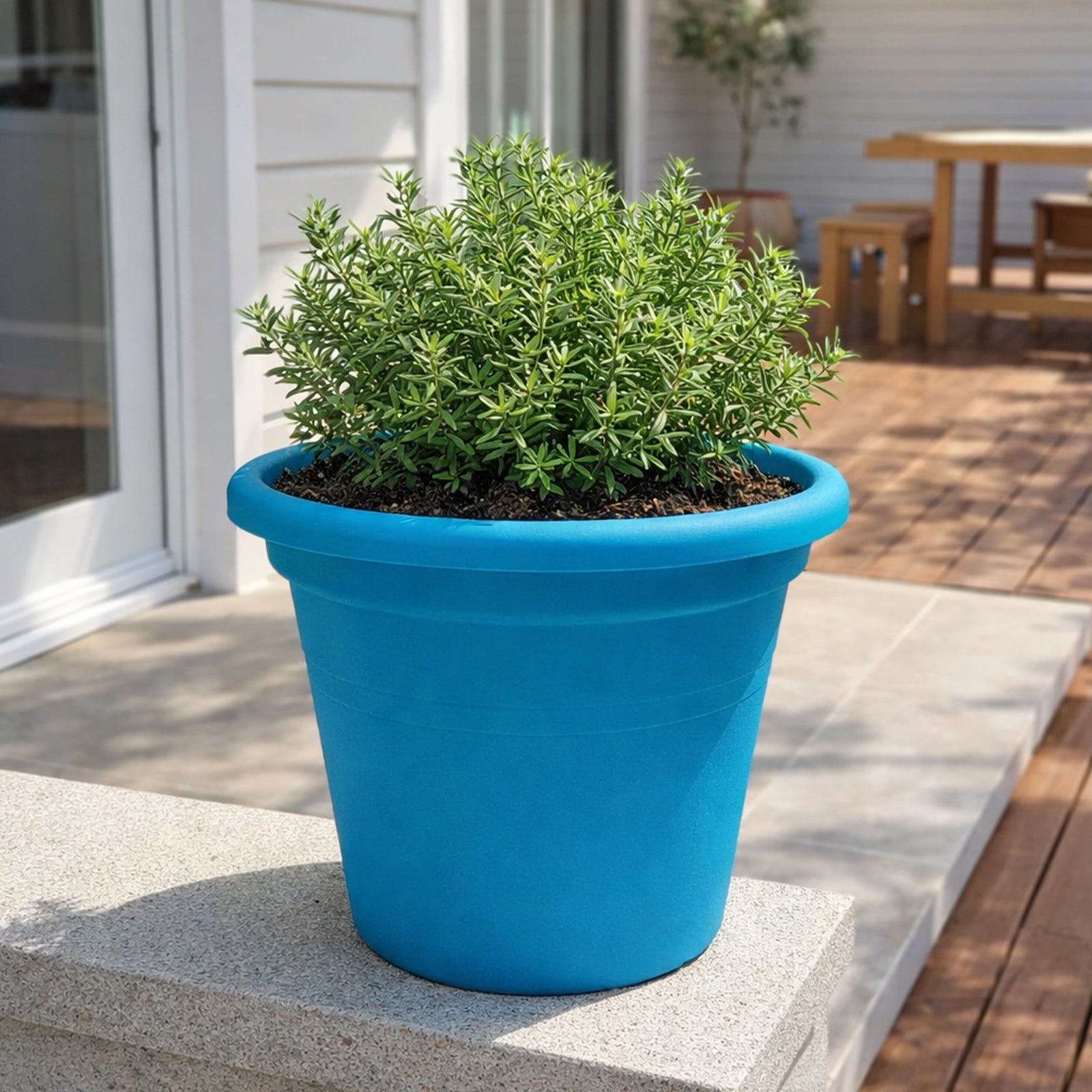 Eden aqua transparent cylinder planter for stylish indoor plants and orchids