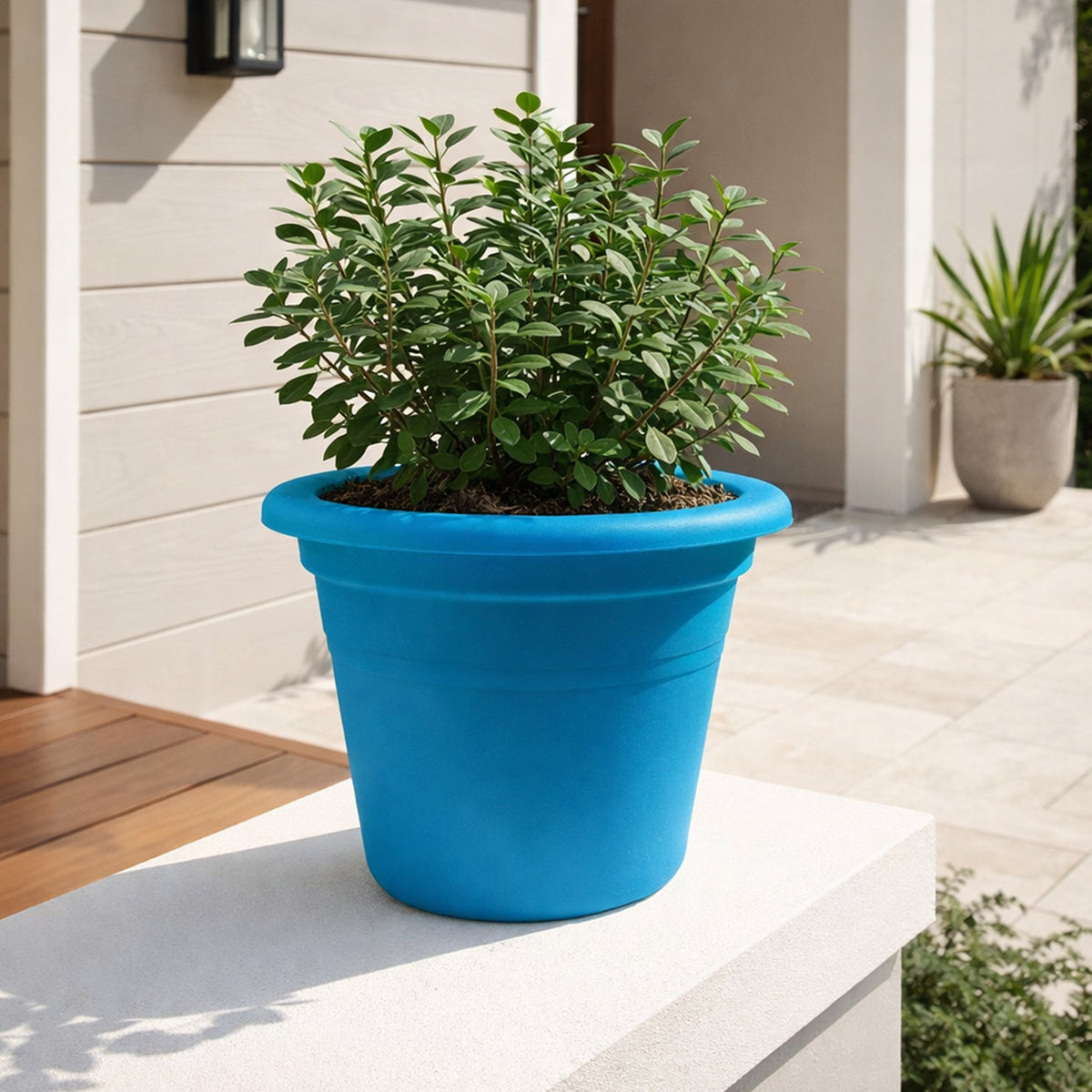 Eden aqua transparent cylinder planter for stylish indoor plants and orchids