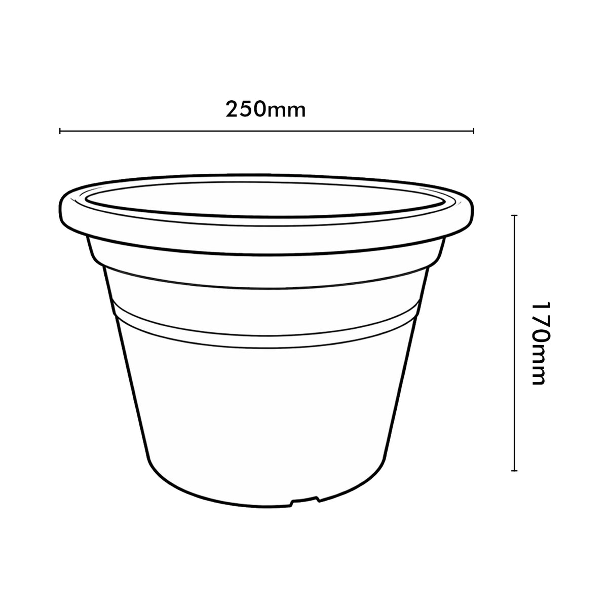 Eden aqua transparent cylinder planter for stylish indoor plants and orchids