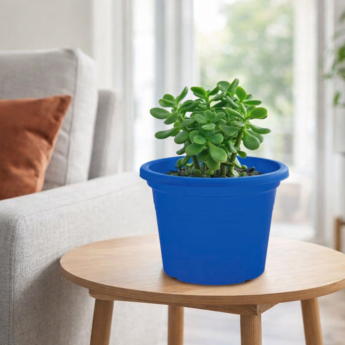 Eden blue transparent round cylinder planter for modern indoor plant display