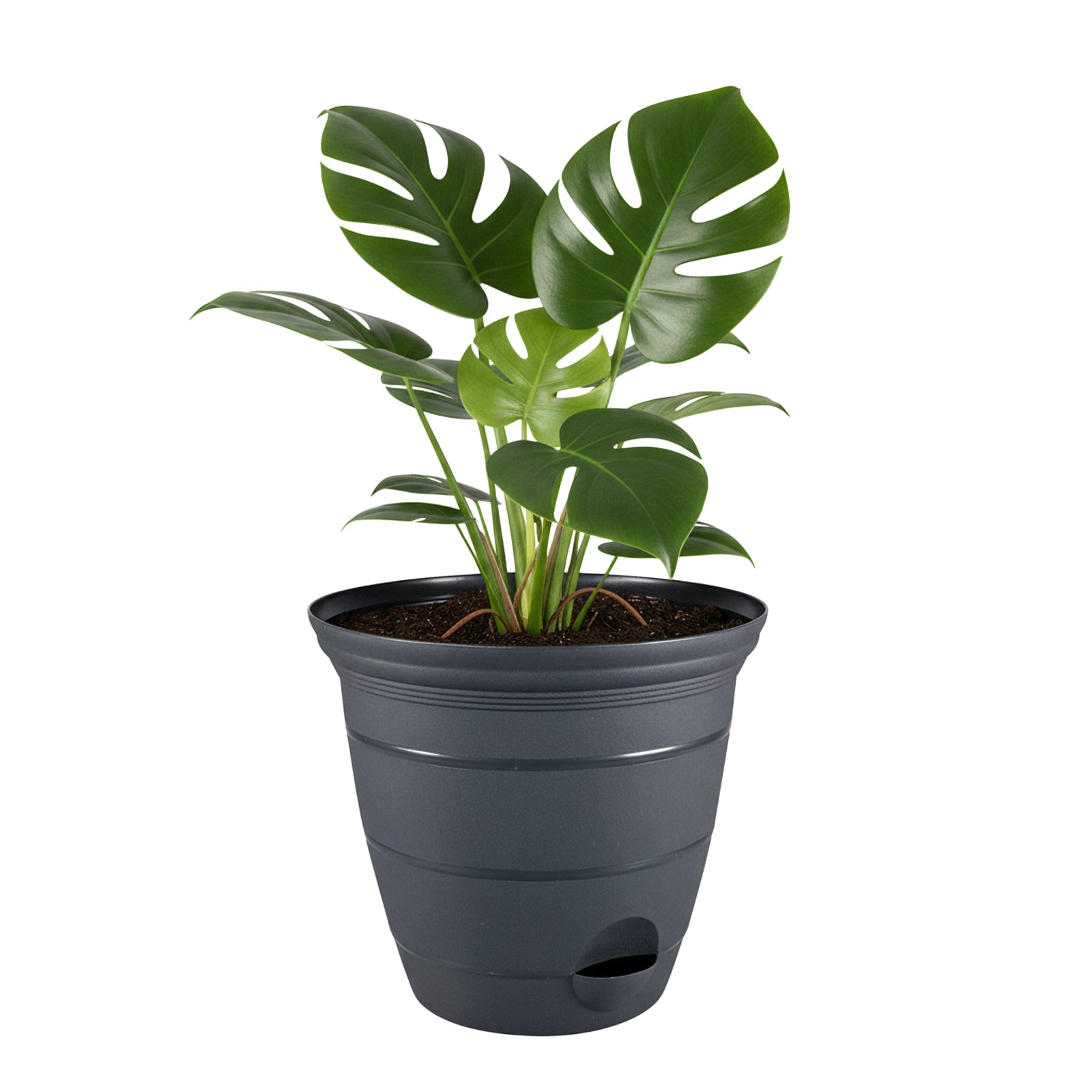 Eden charcoal Roman self-watering planter ideal for medium garden plants