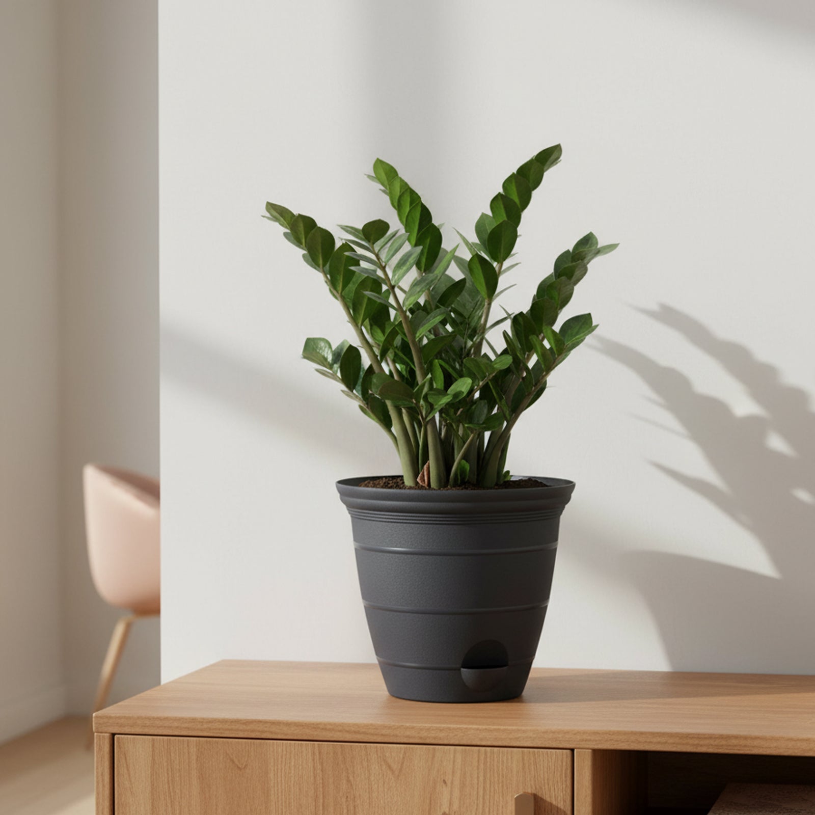 Eden charcoal Roman self-watering planter ideal for medium garden plants