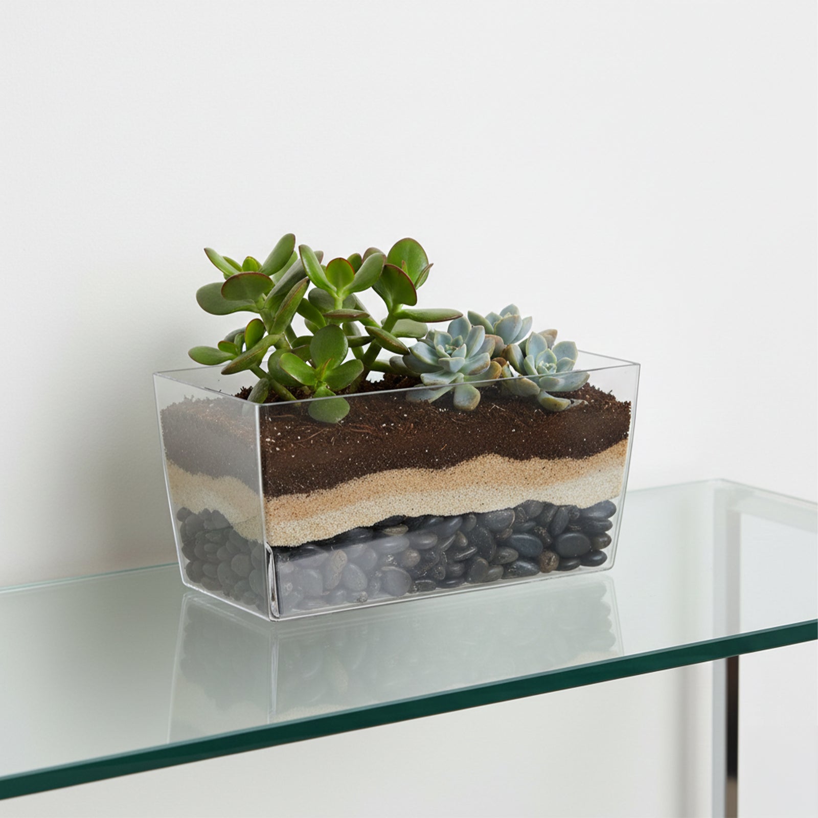 Eden 25cm clear Coimbra planter for indoor plants, herbs and decorative home styling