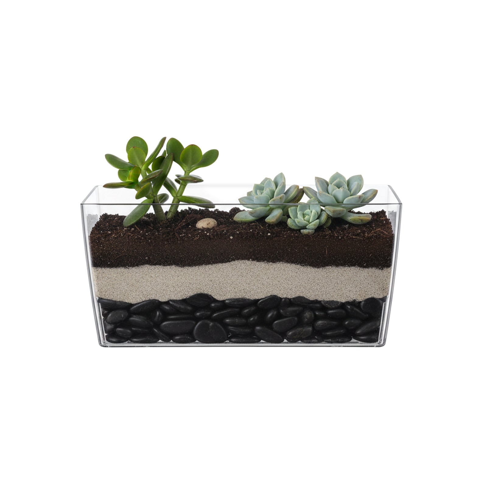 Eden 25cm clear Coimbra planter for indoor plants, herbs and decorative home styling