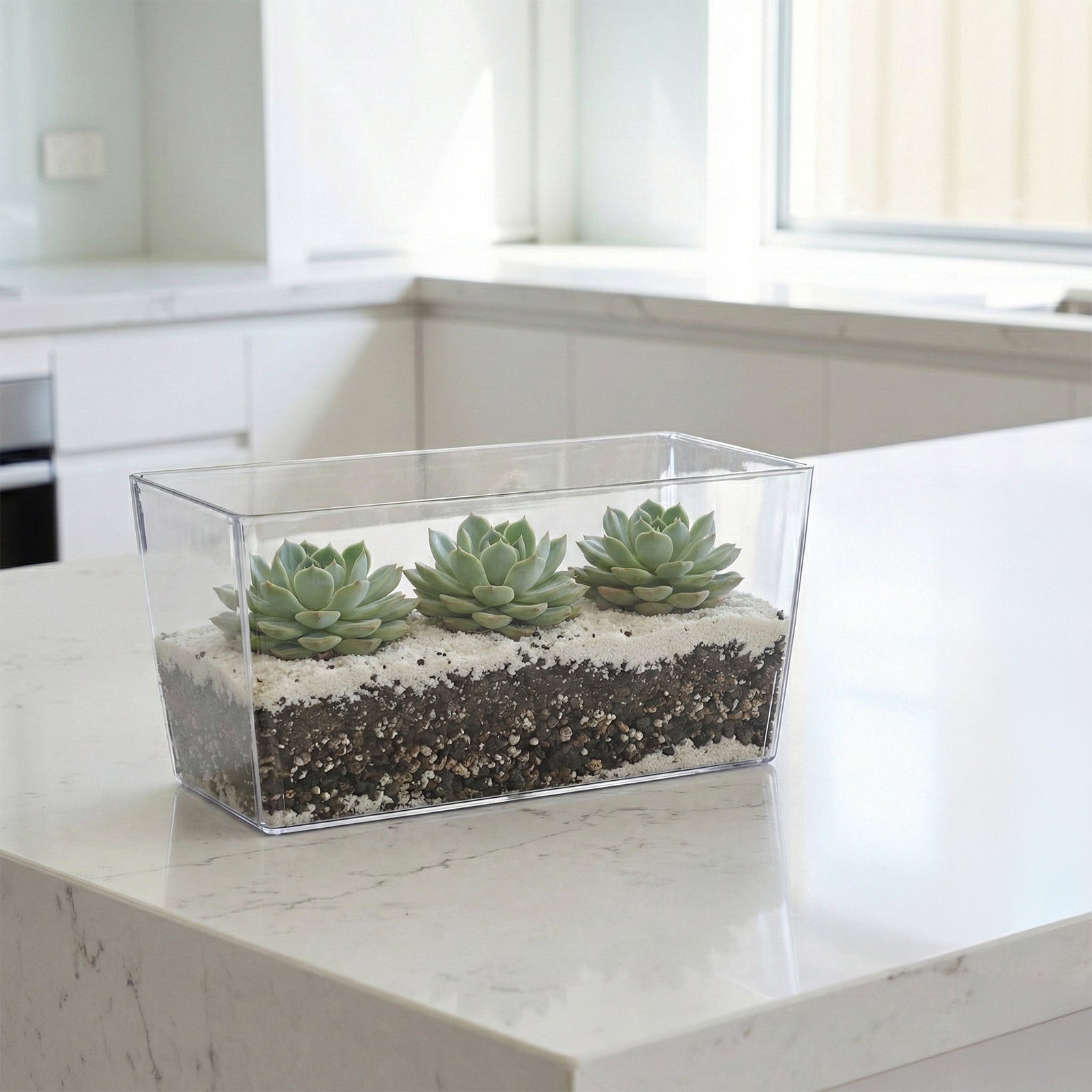 Eden 25cm clear Coimbra planter for indoor plants, herbs and decorative home styling