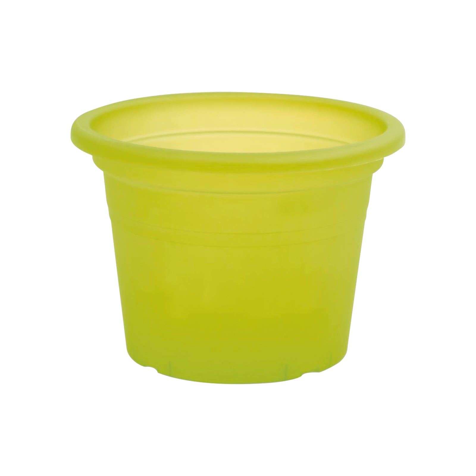 Eden green transparent cylinder planter ideal for indoor plants and herbs